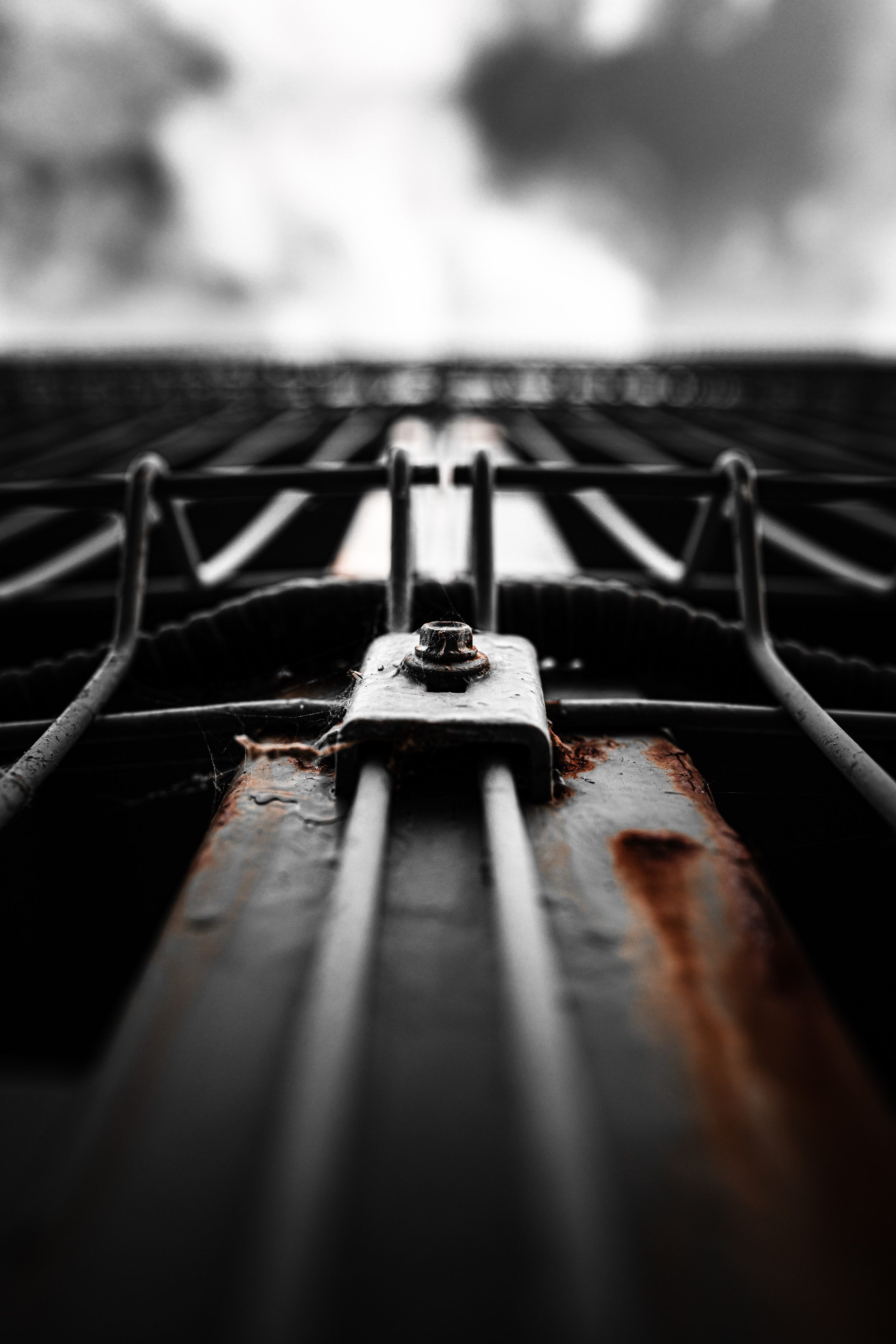 Street. Фотограф в Санкт-Петербурге Шевцов Андрей