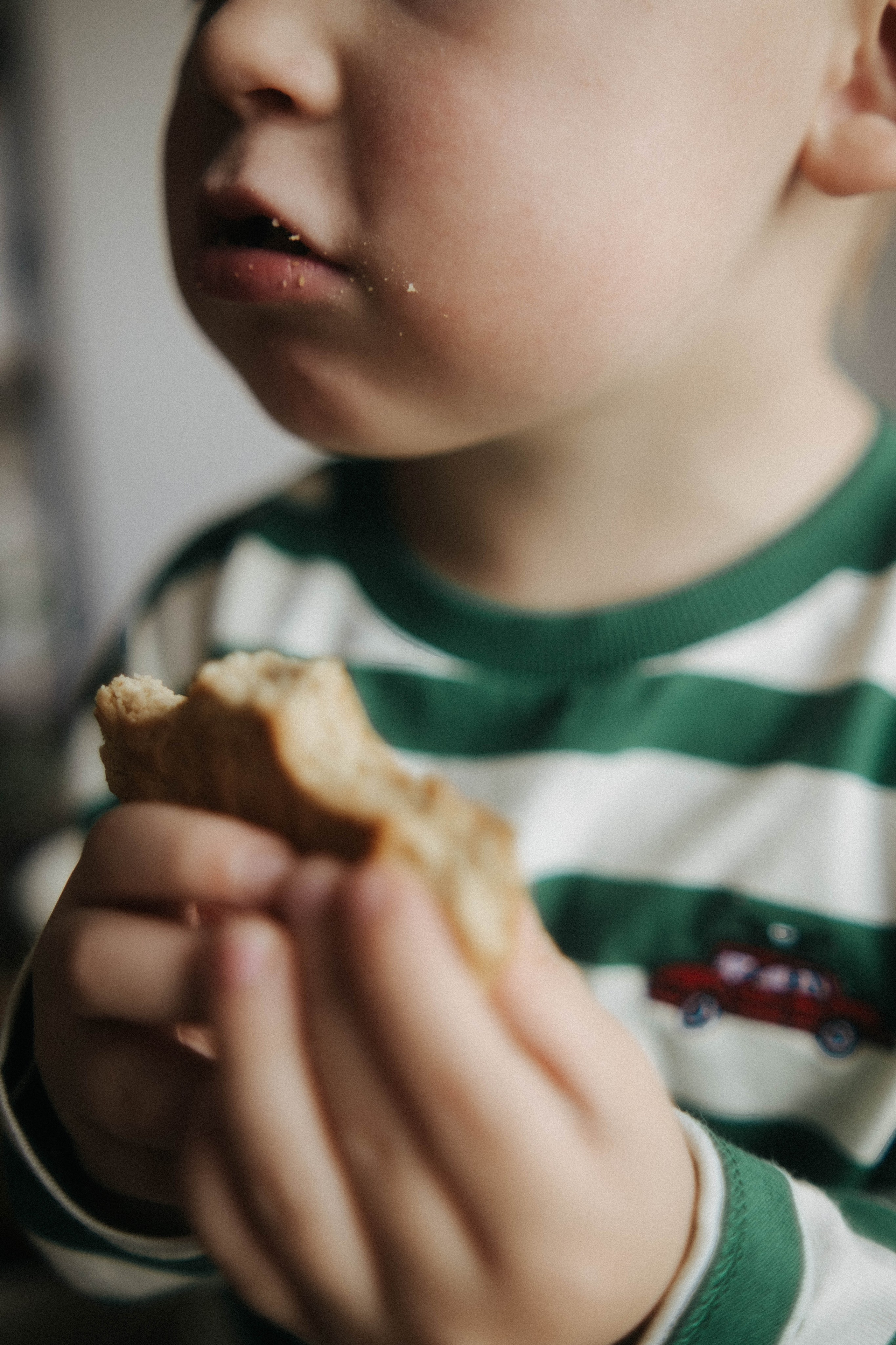 Печеньки, детство и почти Новый год. Видеограф и фотограф Анна Грачева г. Москва