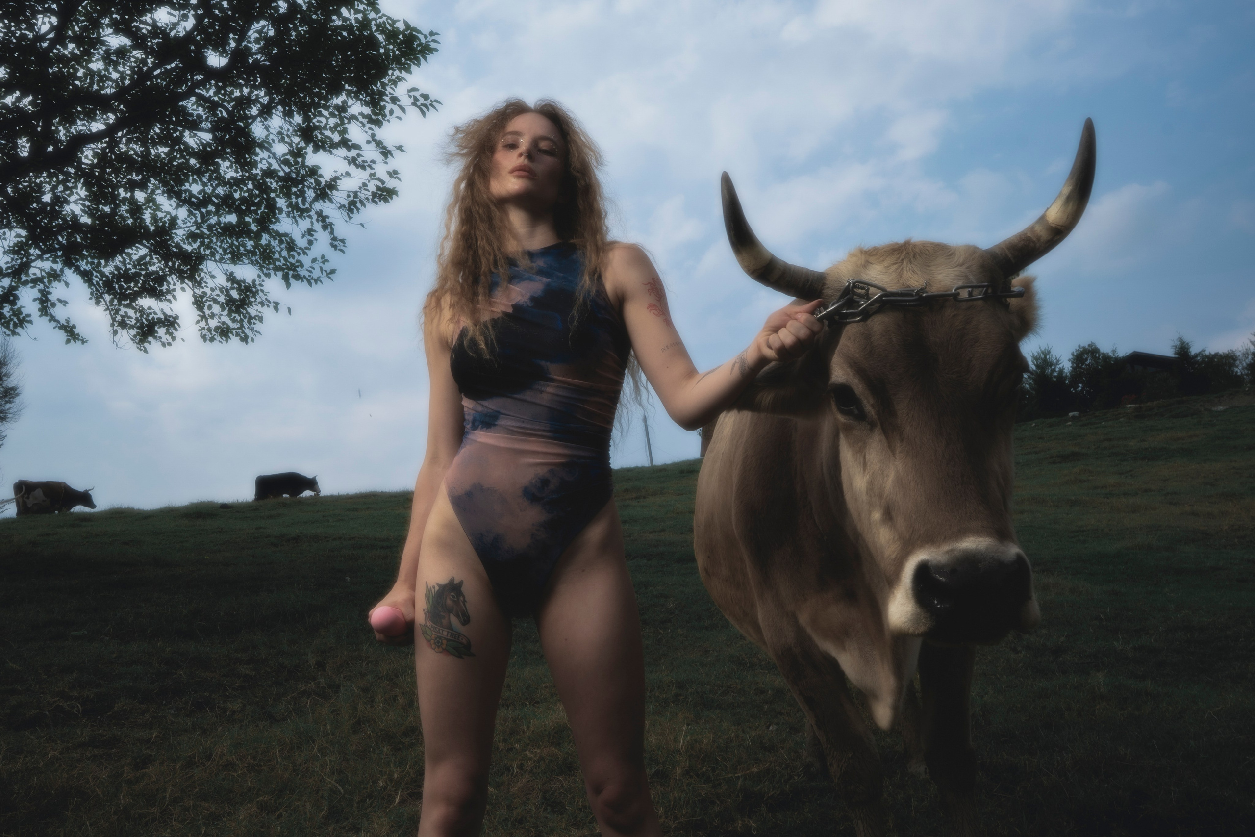 STRANGE FARM. Jorredi