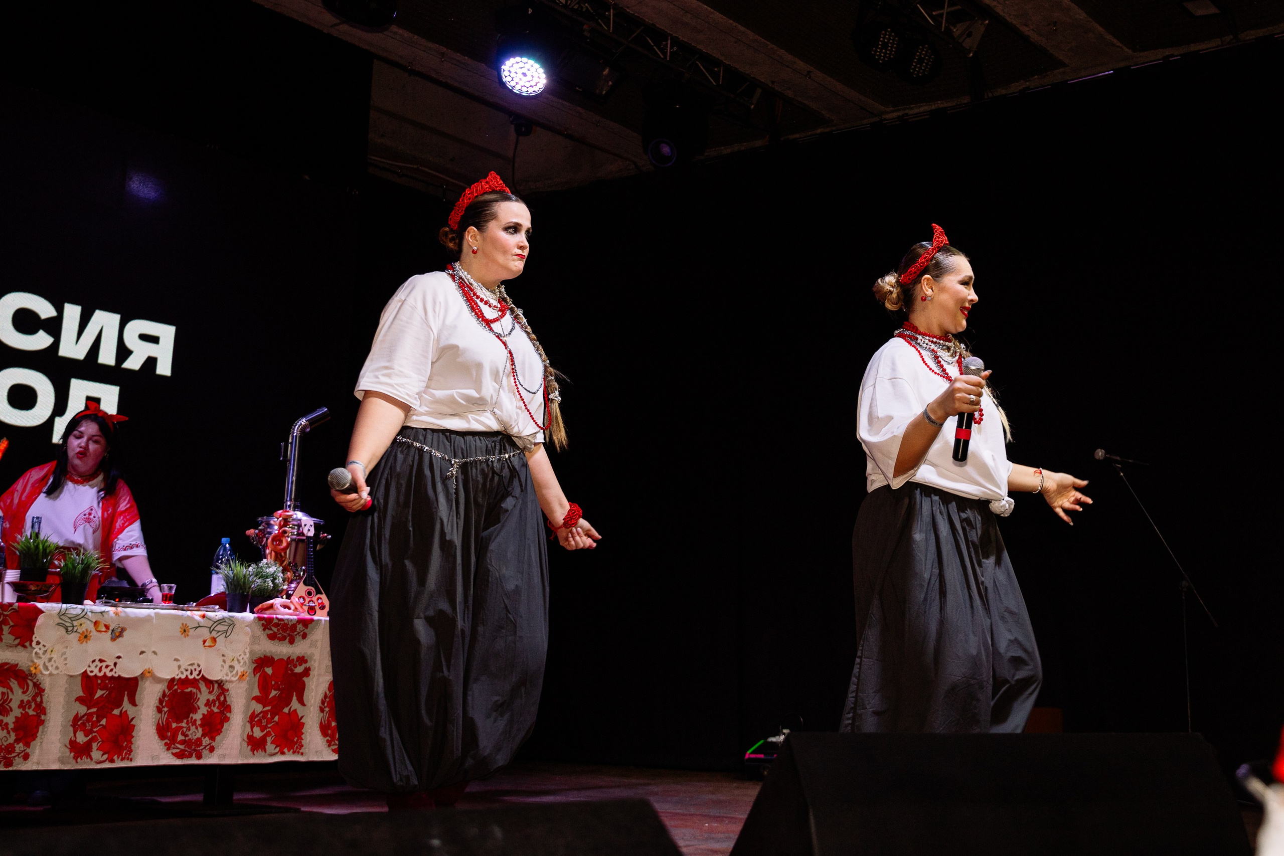 Концерт «Версия Народная». Фотограф Юлия Мальцева