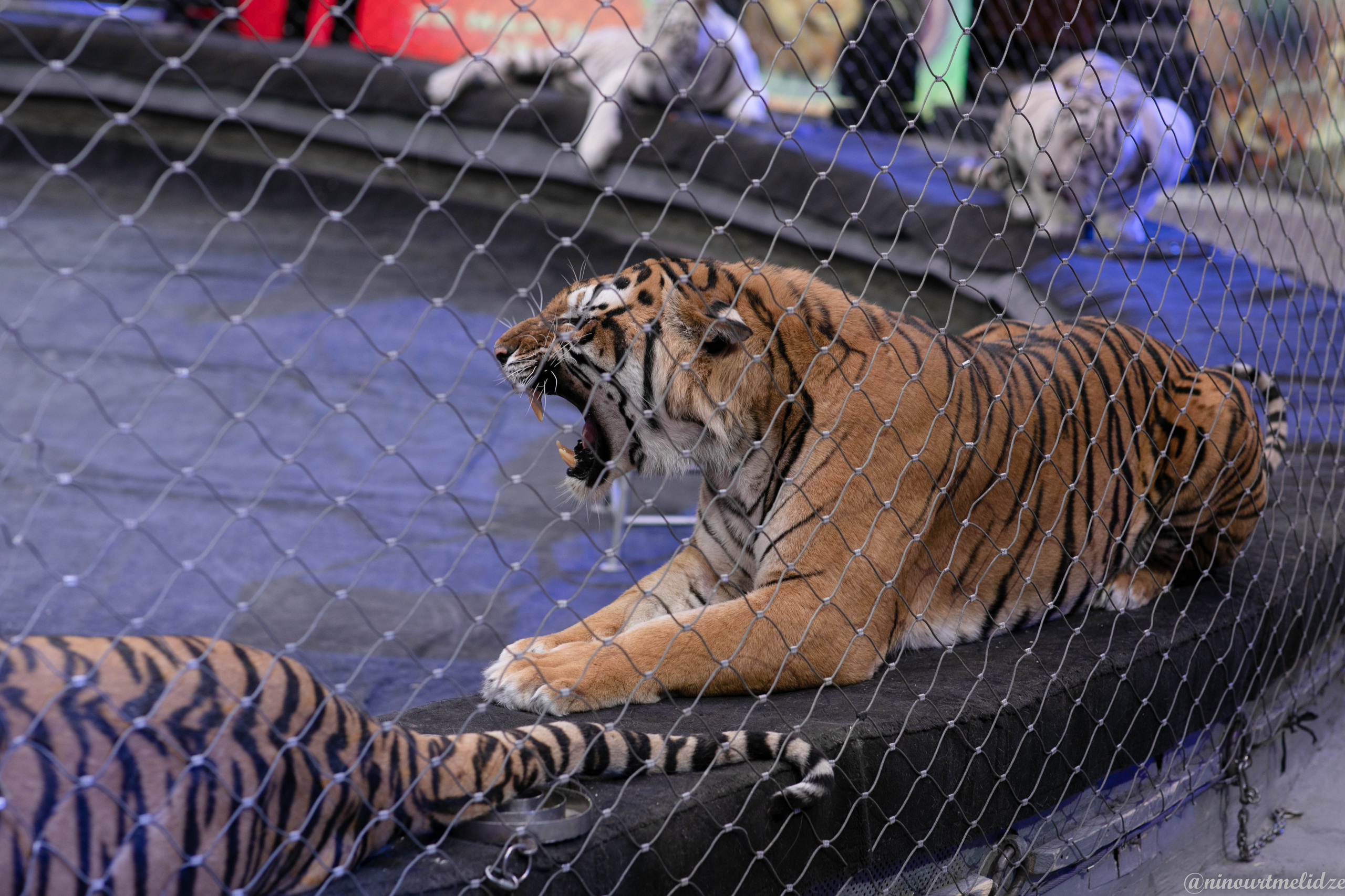 В закулисье у братьев Запашных. Art photographer Nino