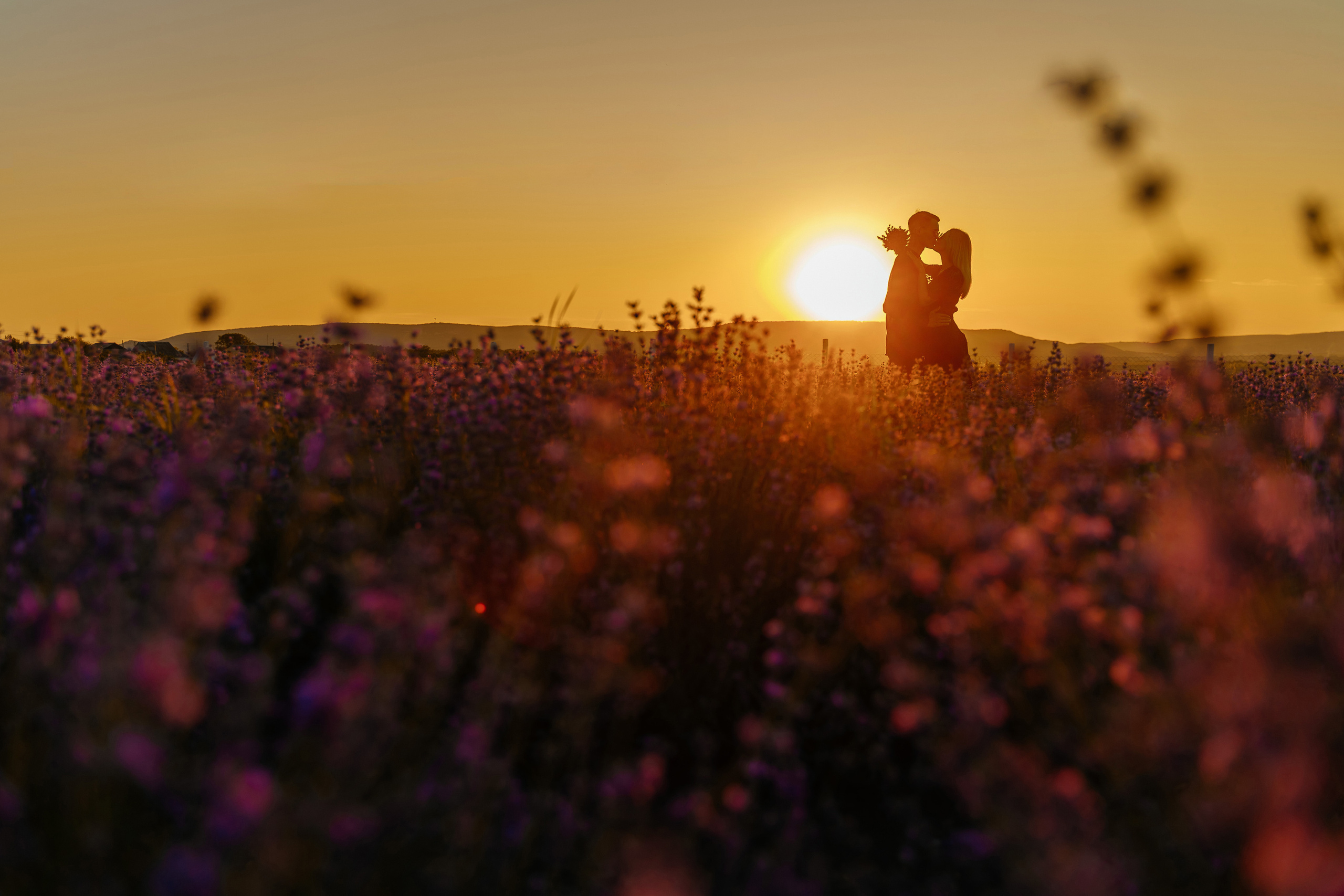 Лаванда love. Фотограф в Нижнем Новгороде Александр Кудрявцев