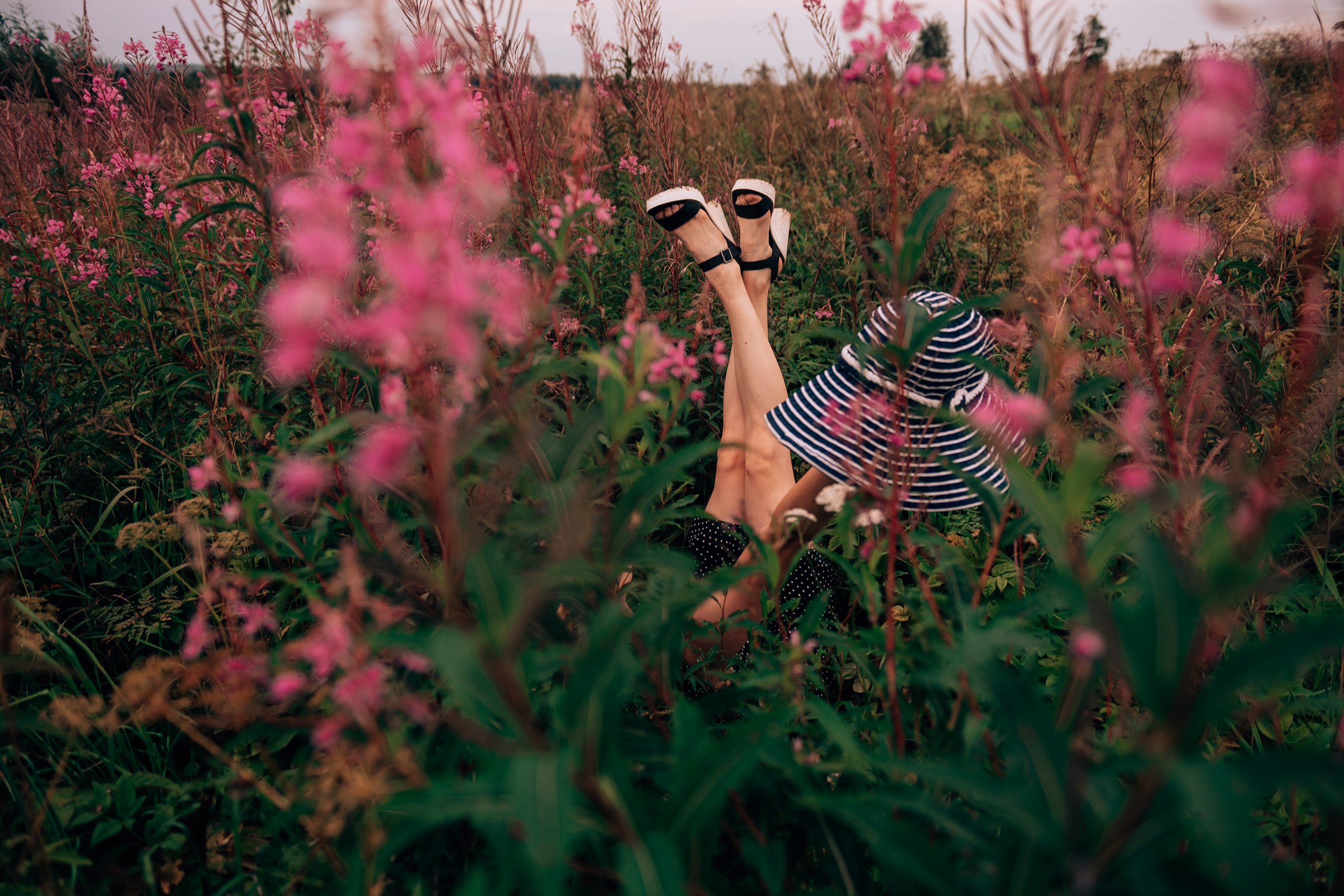 В полях Иван-чая. Свадебный и семейный фотограф София Невская