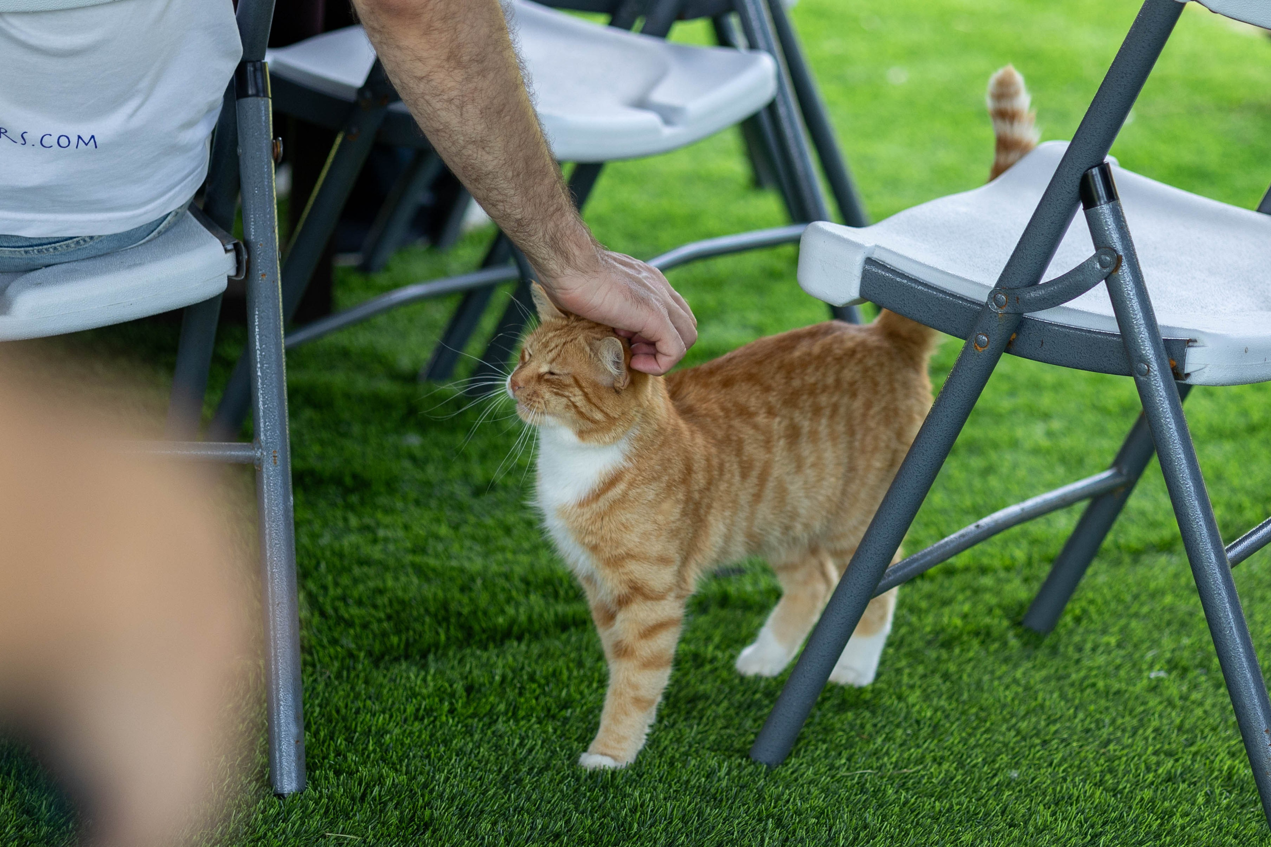 Корпоратив УК ЖКИ. Репортажный и портретный фотограф в Владивостоке