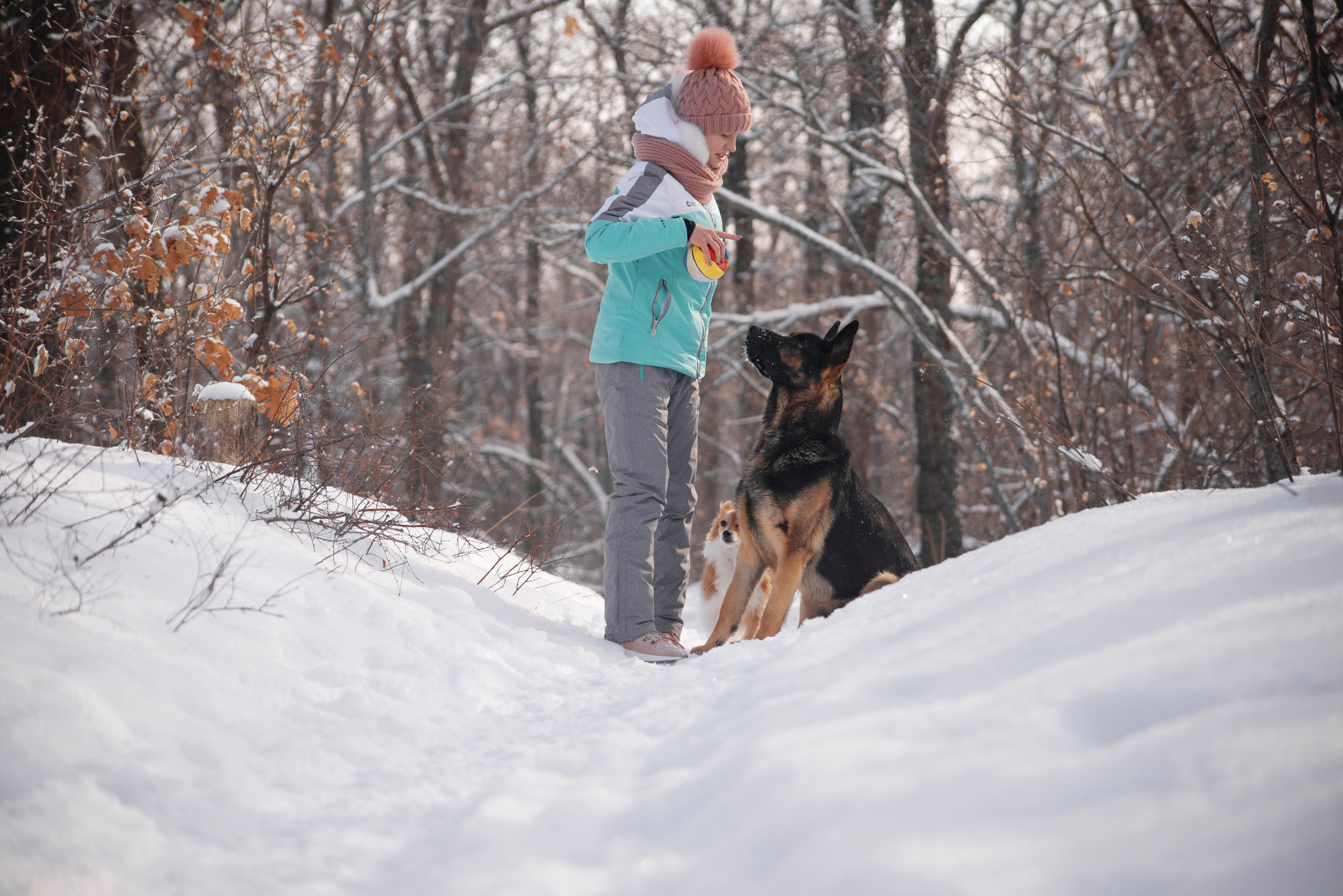 Зевс, Рика и Катя. Фотограф — анималист Саратов/Москва|Плужникова Юлия