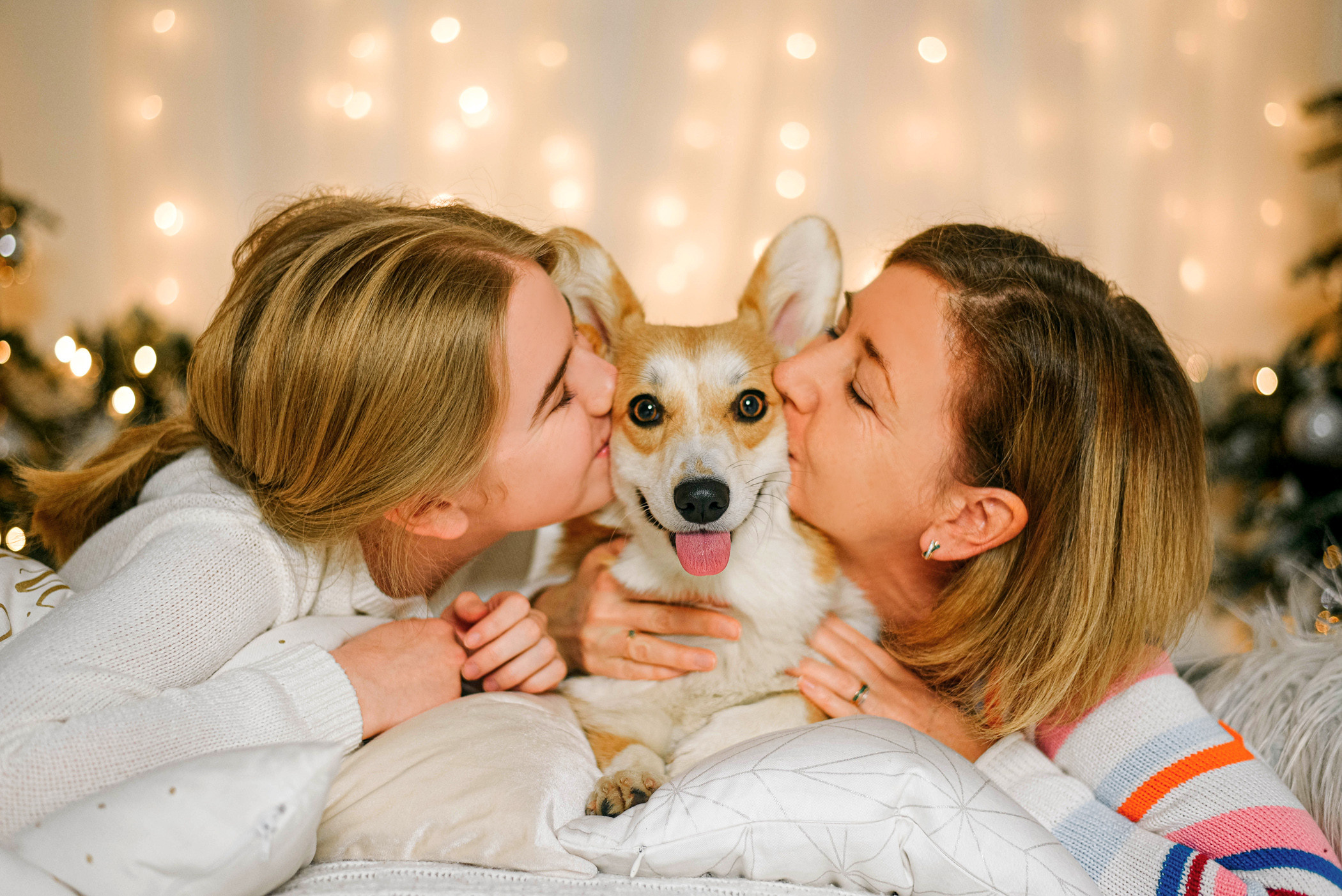 Корги Ежа и ее чудесная семья. Фотограф — анималист Саратов/Москва|Плужникова Юлия