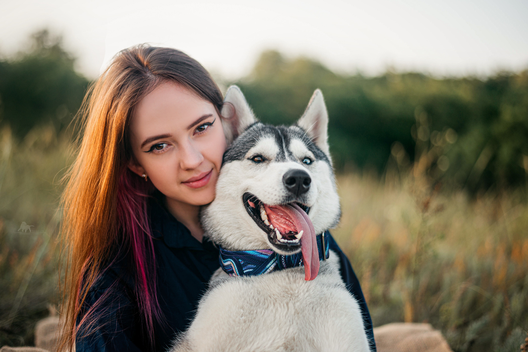 Хаски Грейс и Настя. Фотограф — анималист Саратов/Москва|Плужникова Юлия