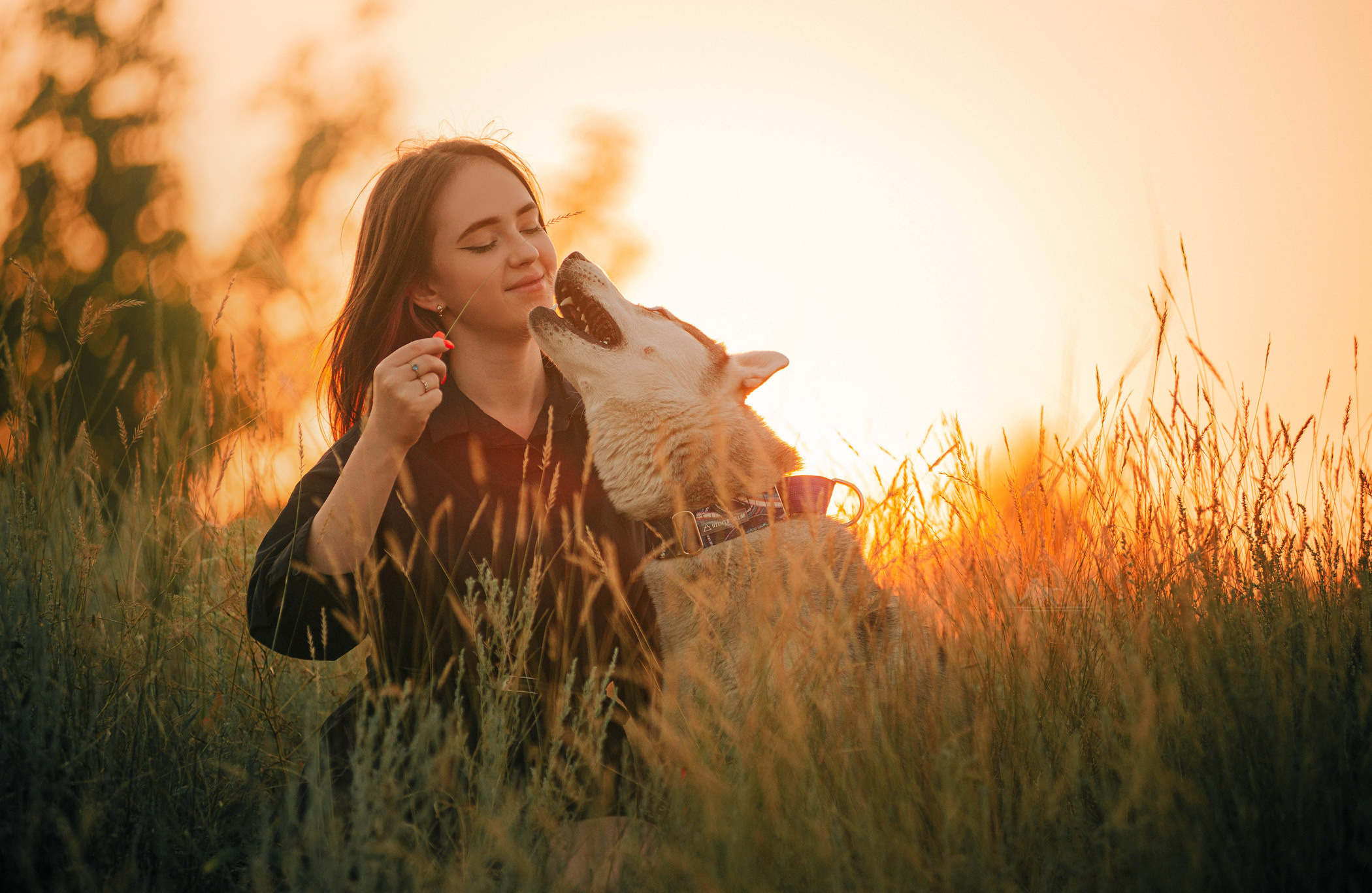 Хаски Грейс и Настя. Фотограф — анималист Саратов/Москва|Плужникова Юлия
