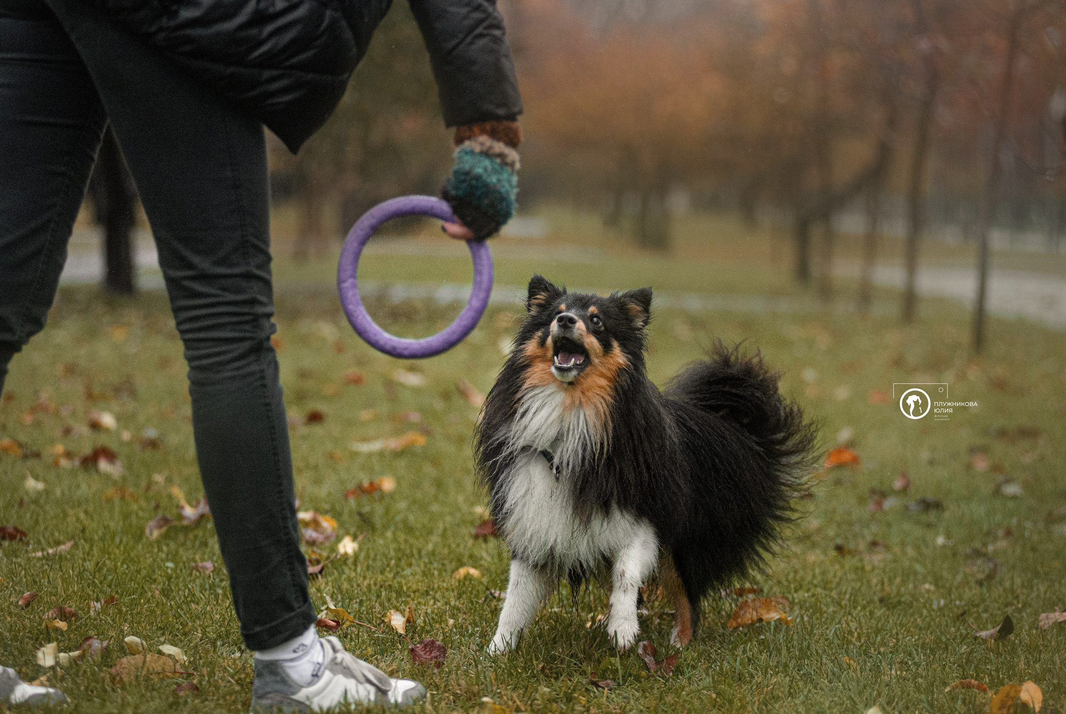 Осень на ВДНХ. Фотограф — анималист Саратов/Москва|Плужникова Юлия