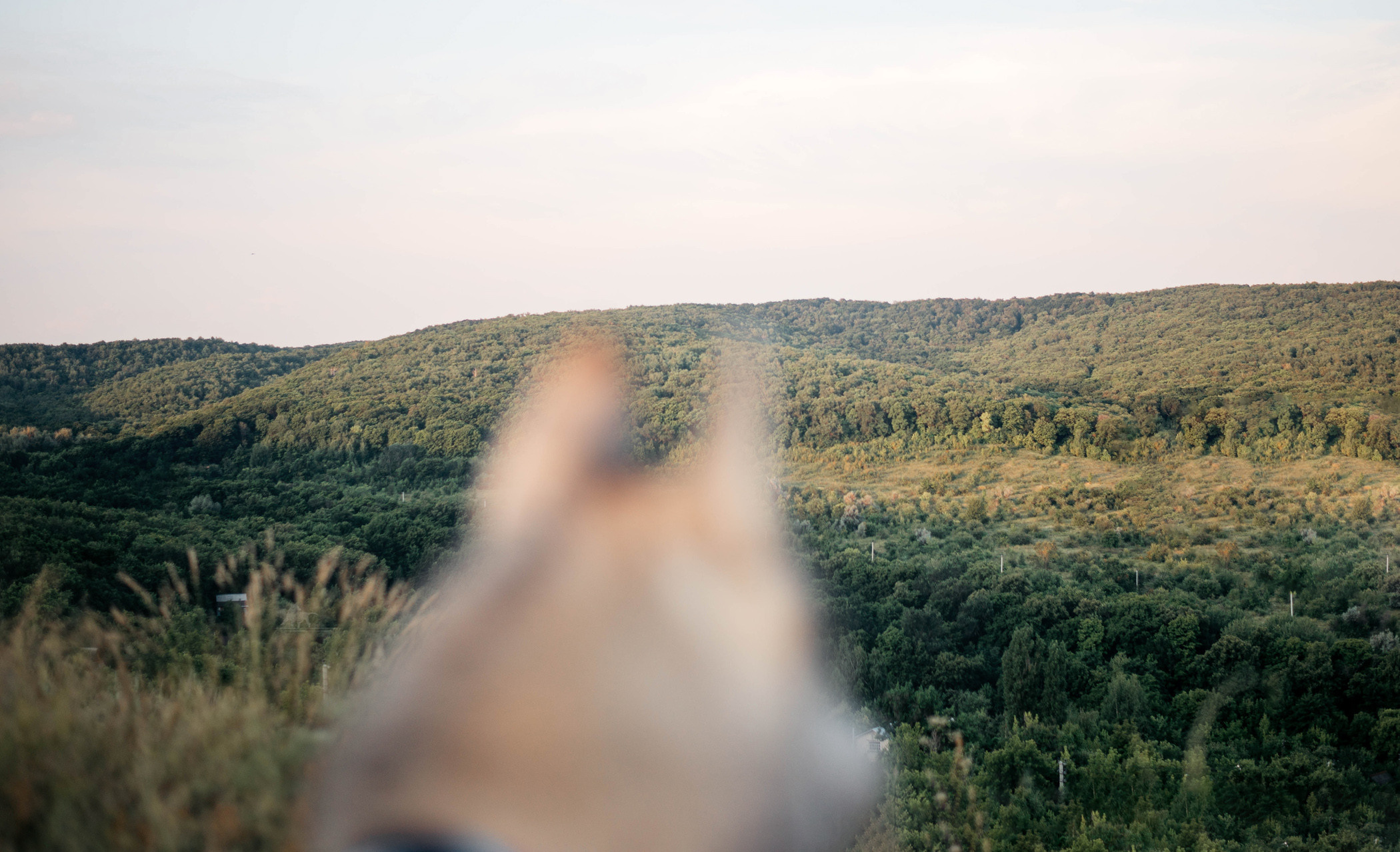 Хаски Грейс и Настя. Фотограф — анималист Саратов/Москва|Плужникова Юлия