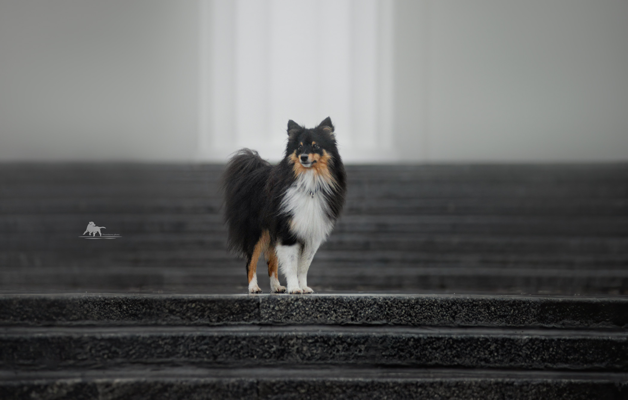 Осень на ВДНХ. Фотограф — анималист Саратов/Москва|Плужникова Юлия