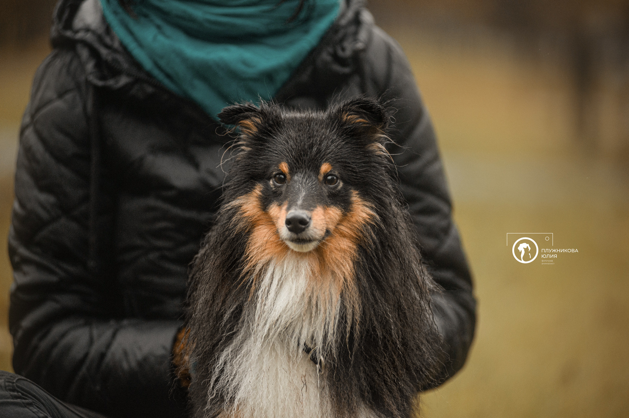 Осень на ВДНХ. Фотограф — анималист Саратов/Москва|Плужникова Юлия
