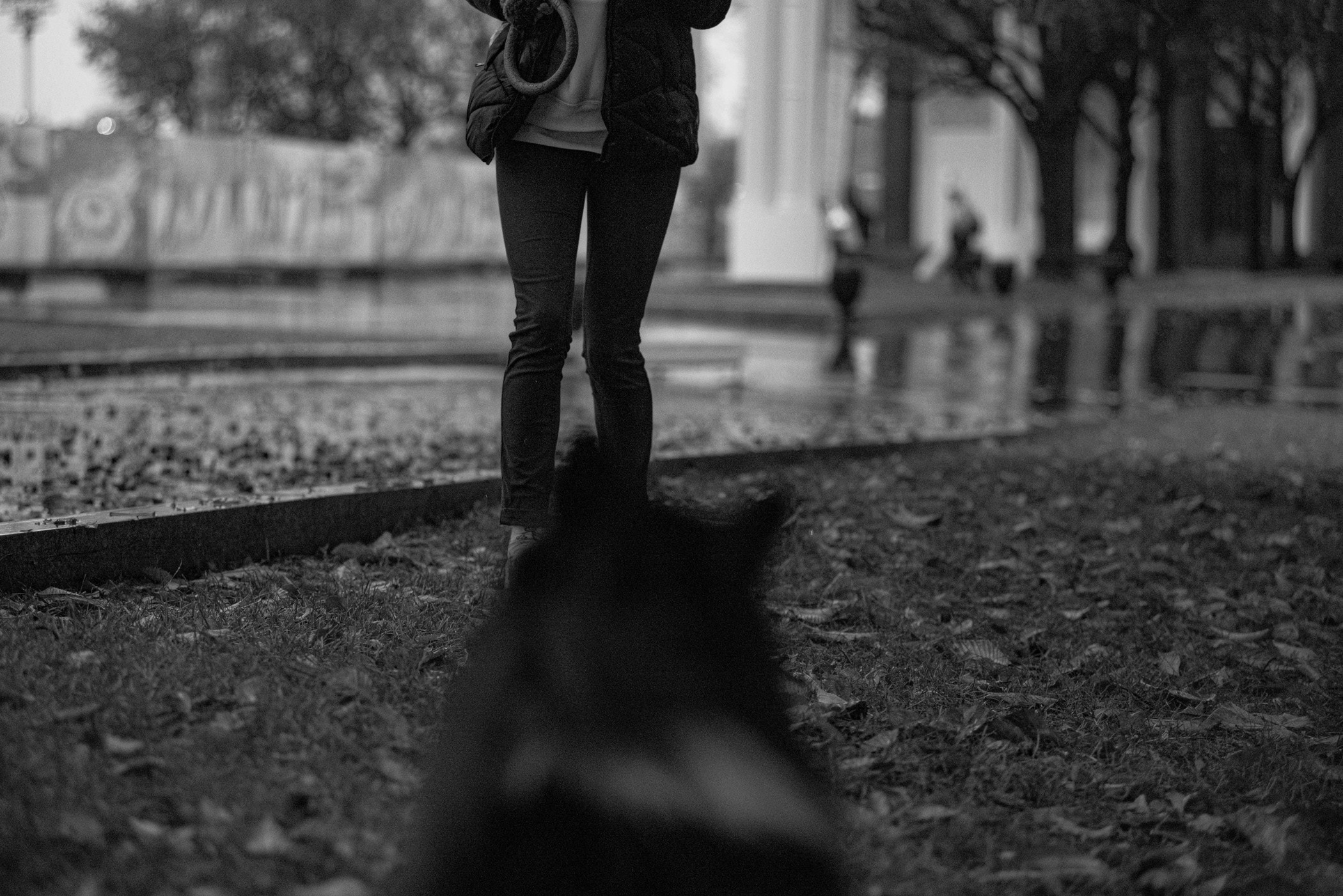 Осень на ВДНХ. Фотограф — анималист Саратов/Москва|Плужникова Юлия