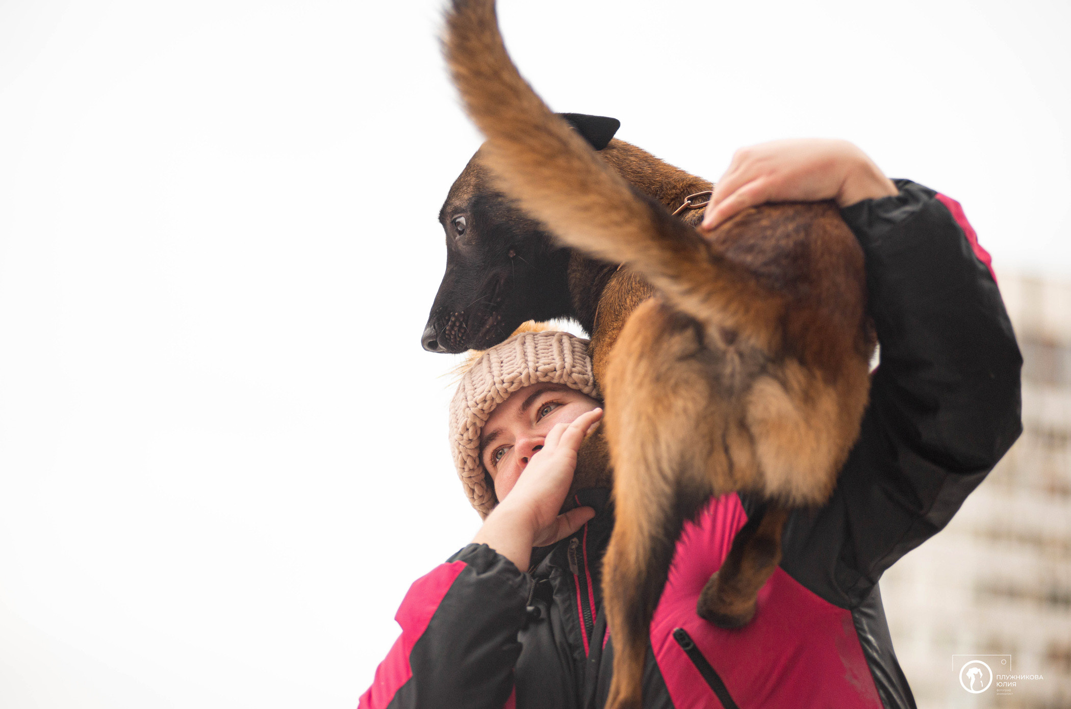 Фалькон и Сеня на флаконе. Фотограф — анималист Саратов/Москва|Плужникова Юлия