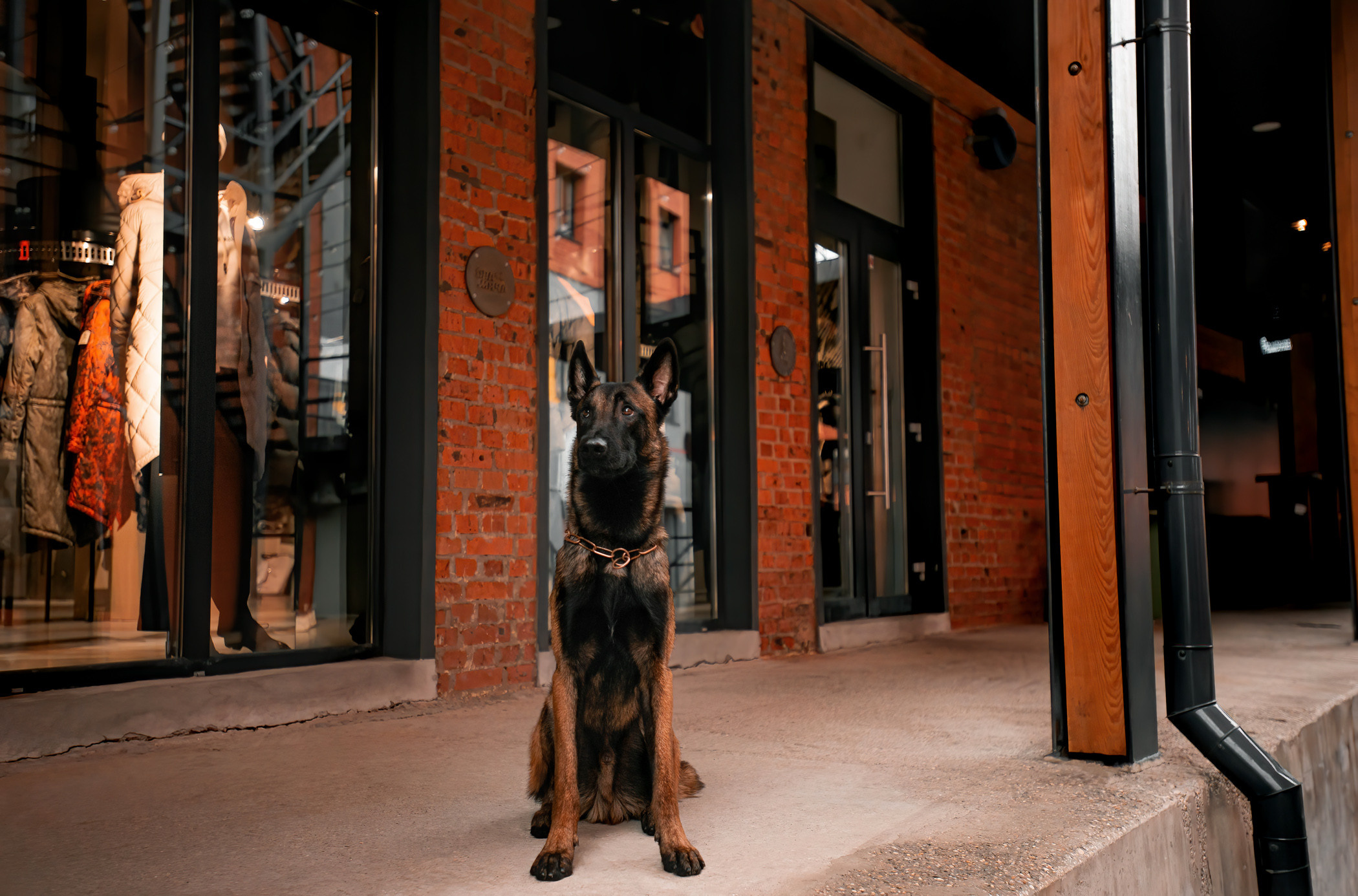 Фалькон и Сеня на флаконе. Фотограф — анималист Саратов/Москва|Плужникова Юлия