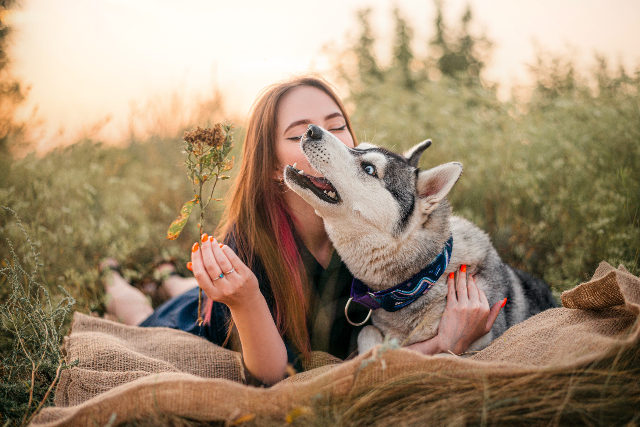Хаски Грейс и Настя. Фотограф — анималист Саратов/Москва|Плужникова Юлия