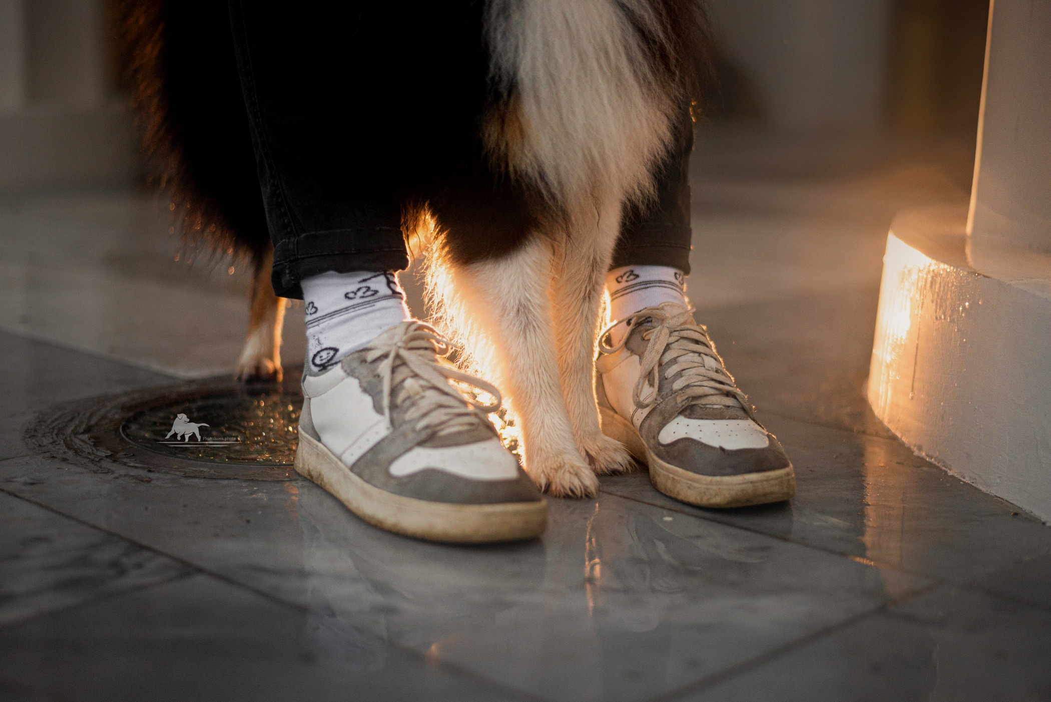 Осень на ВДНХ. Фотограф — анималист Саратов/Москва|Плужникова Юлия