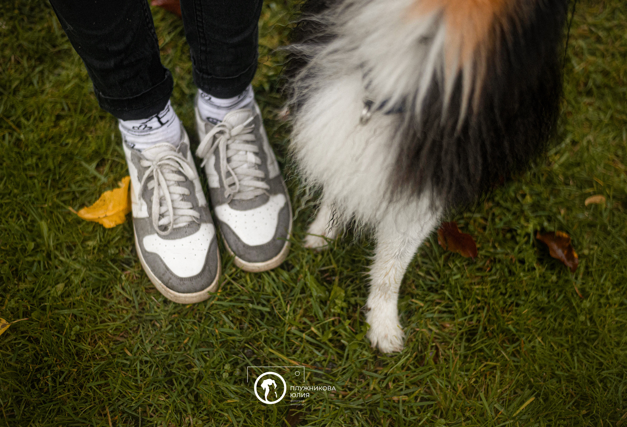Осень на ВДНХ. Фотограф — анималист Саратов/Москва|Плужникова Юлия