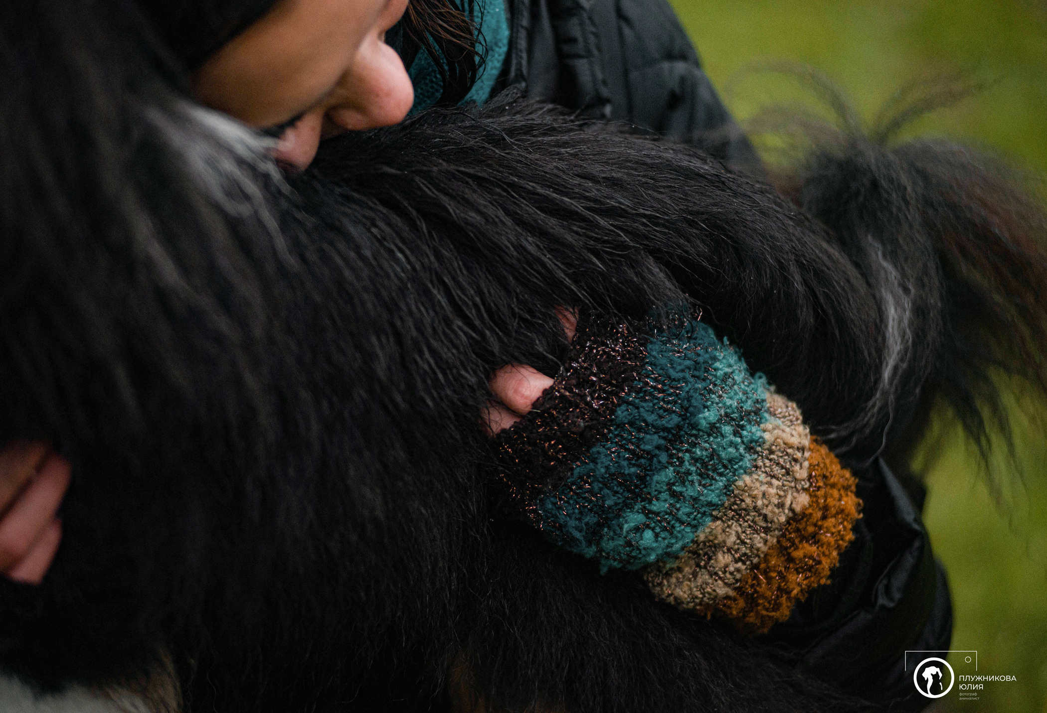 Осень на ВДНХ. Фотограф — анималист Саратов/Москва|Плужникова Юлия