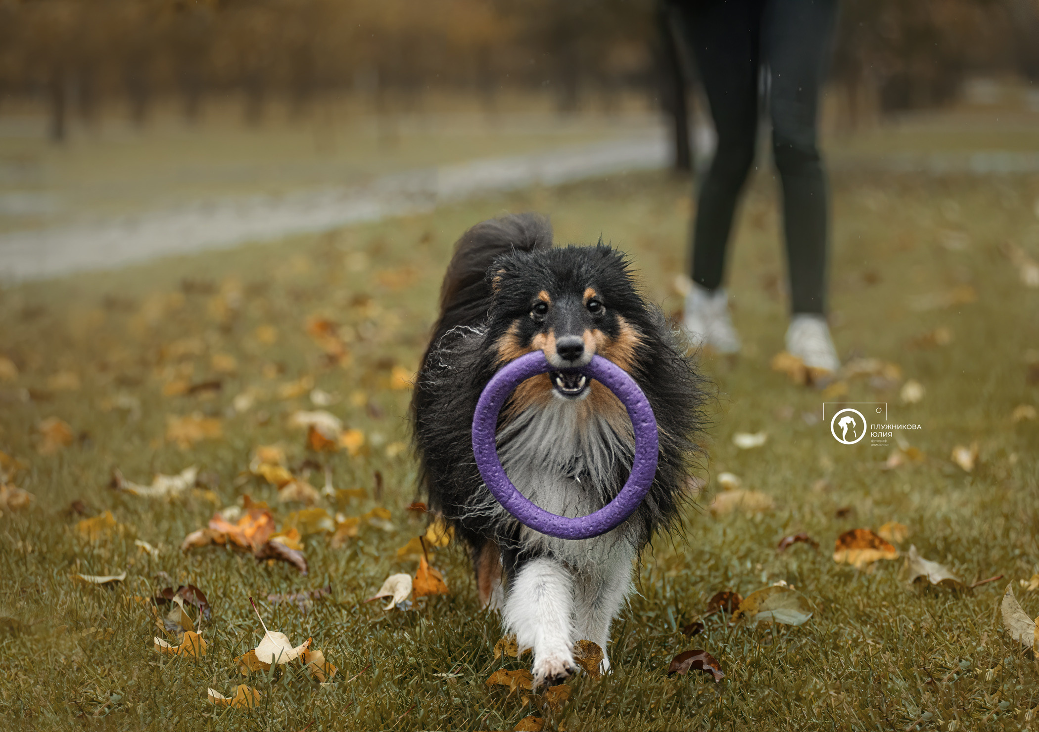 Осень на ВДНХ. Фотограф — анималист Саратов/Москва|Плужникова Юлия