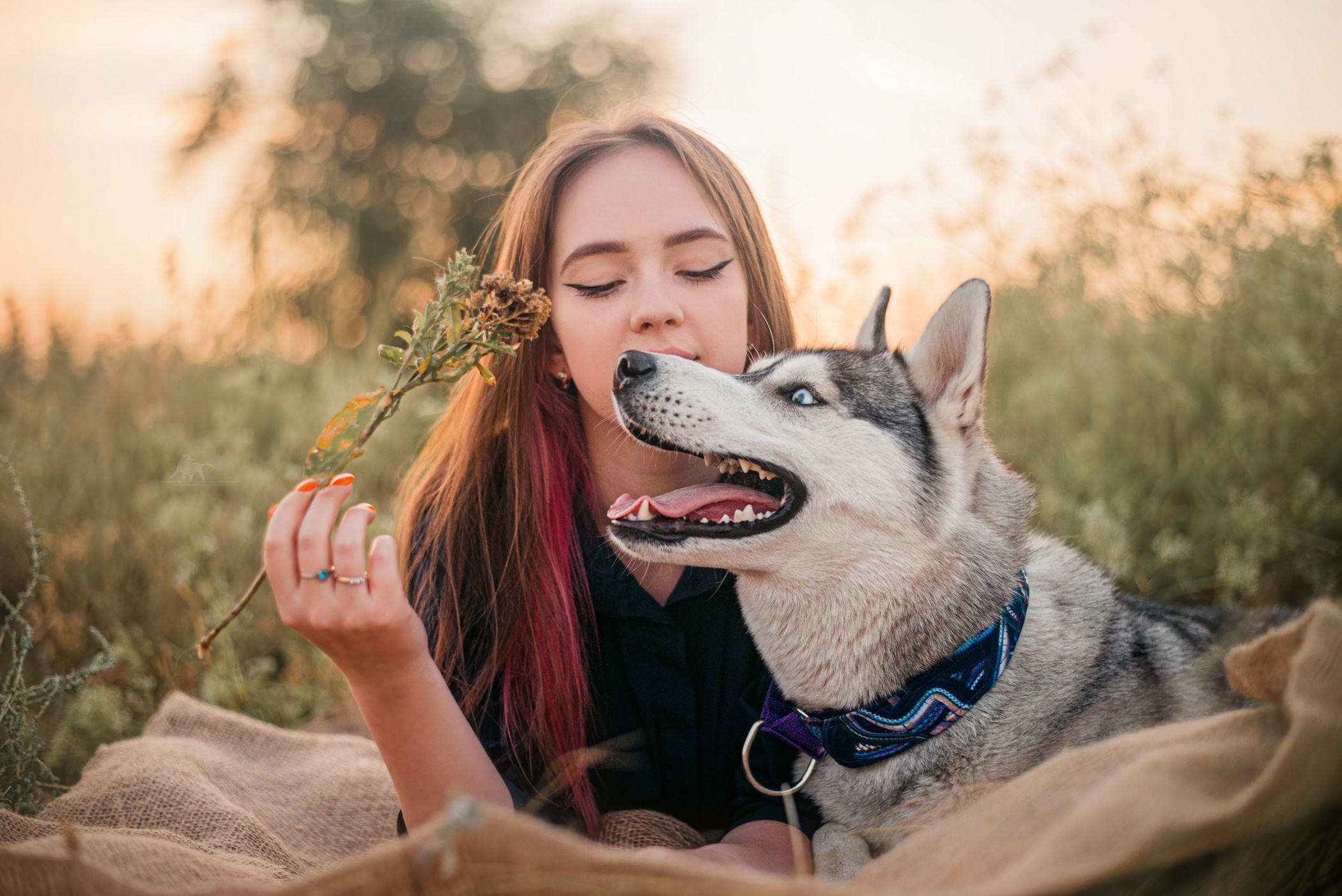 Хаски Грейс и Настя. Фотограф — анималист Саратов/Москва|Плужникова Юлия