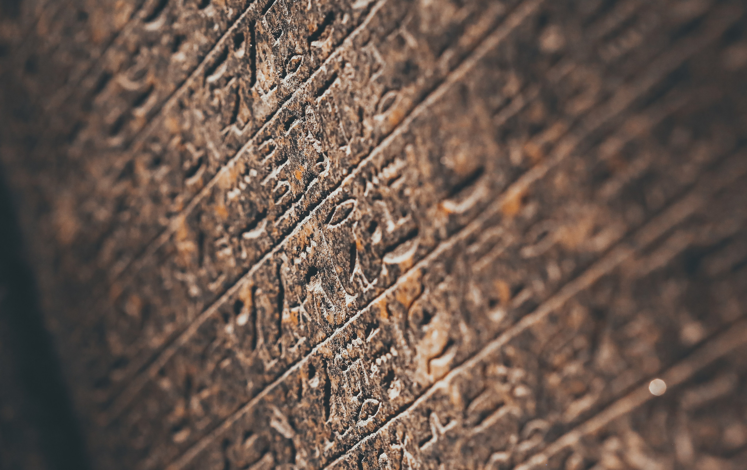 Англия: Пролог. Дарья Письменюк / Darya Leitstern — фотограф, музыкант, журналист, путешественник