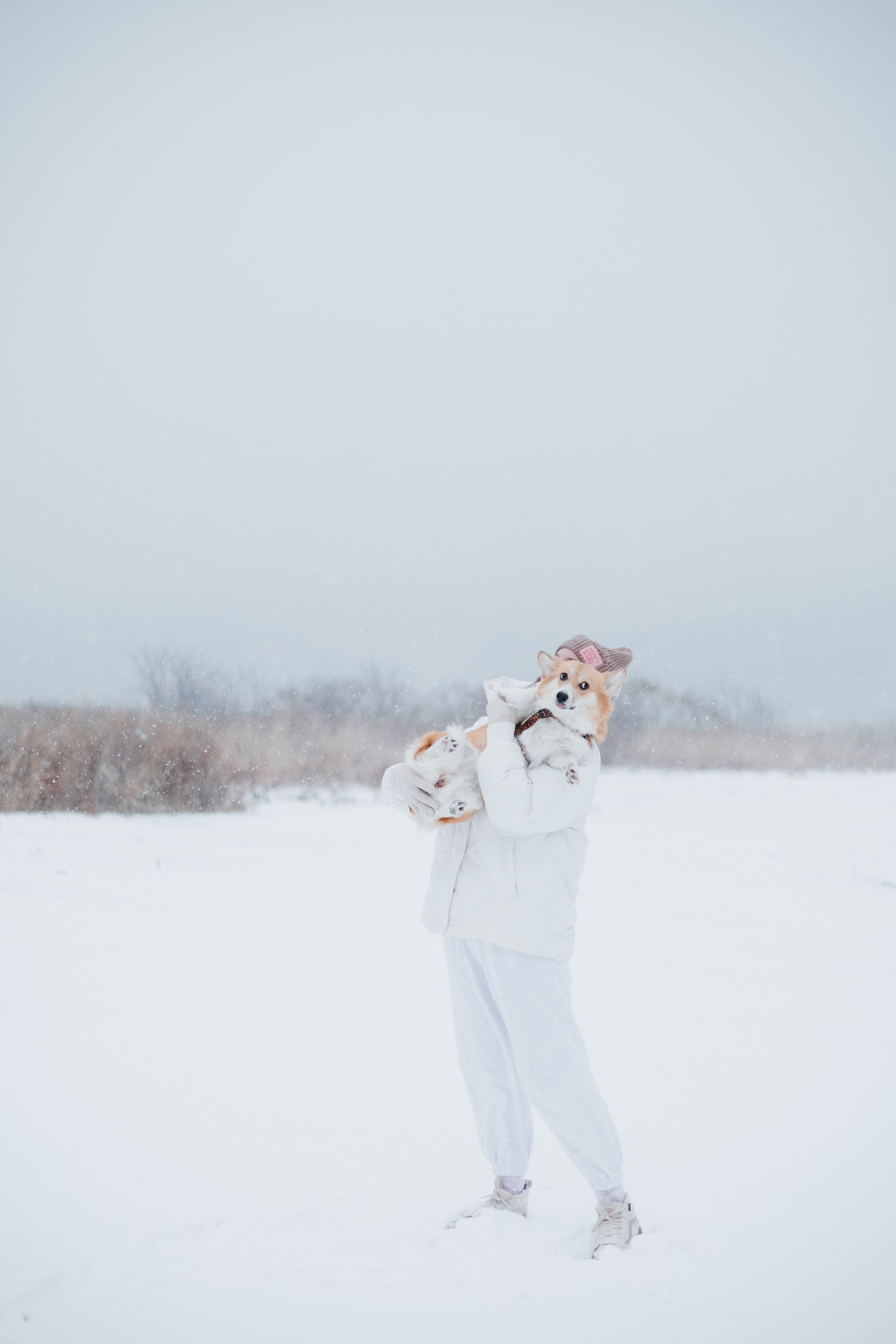 Лена, Лиза и Мия. Фотограф — анималист Владивосток, Алина