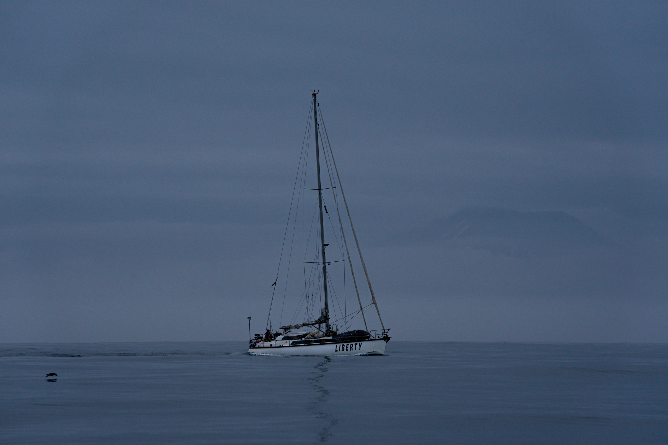 Анна Рогачева — фотограф дикой природы