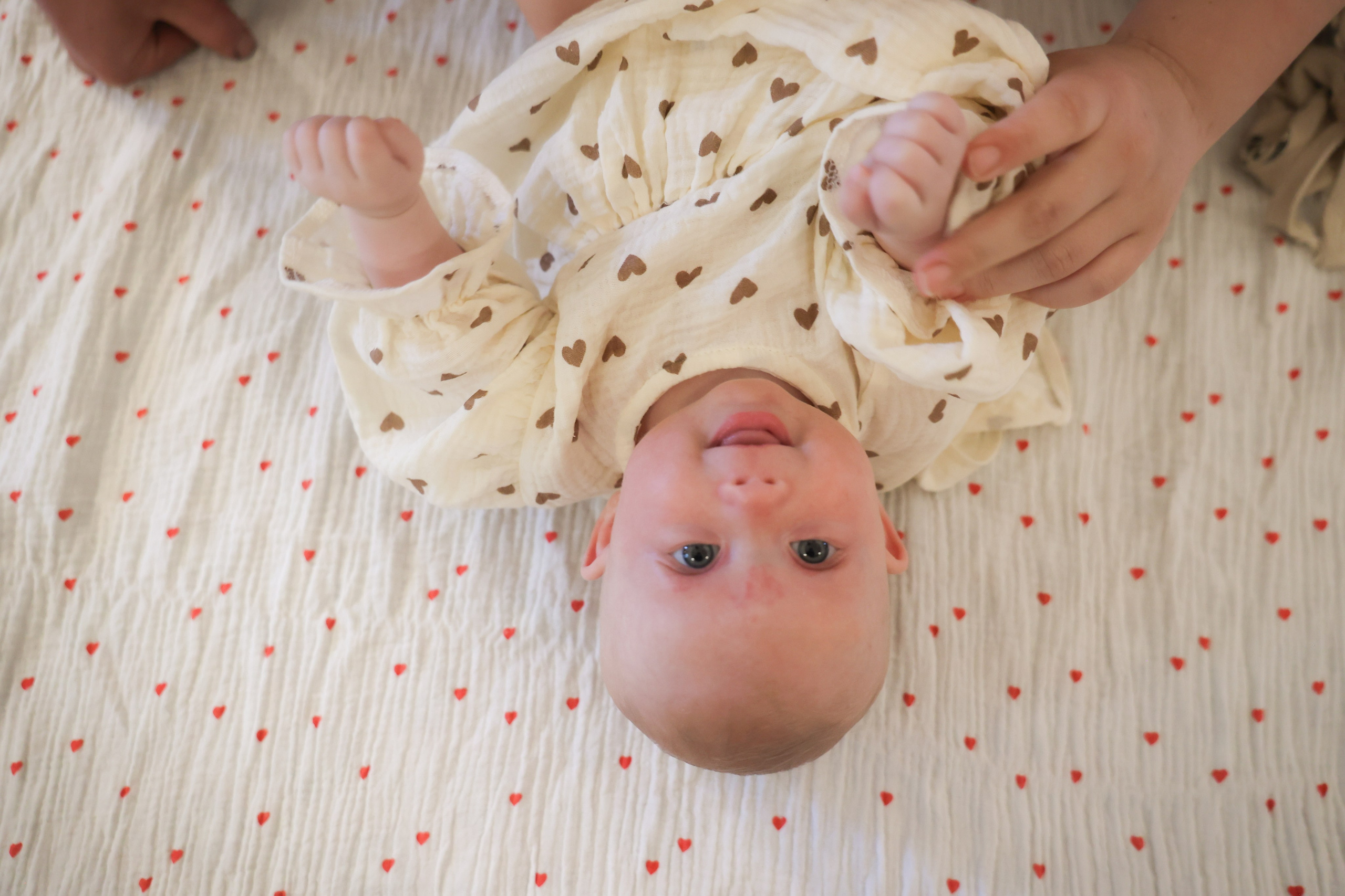 Анисия. Фотограф НатаФото (Наталья Яковенко) Дмитров Москва Питер