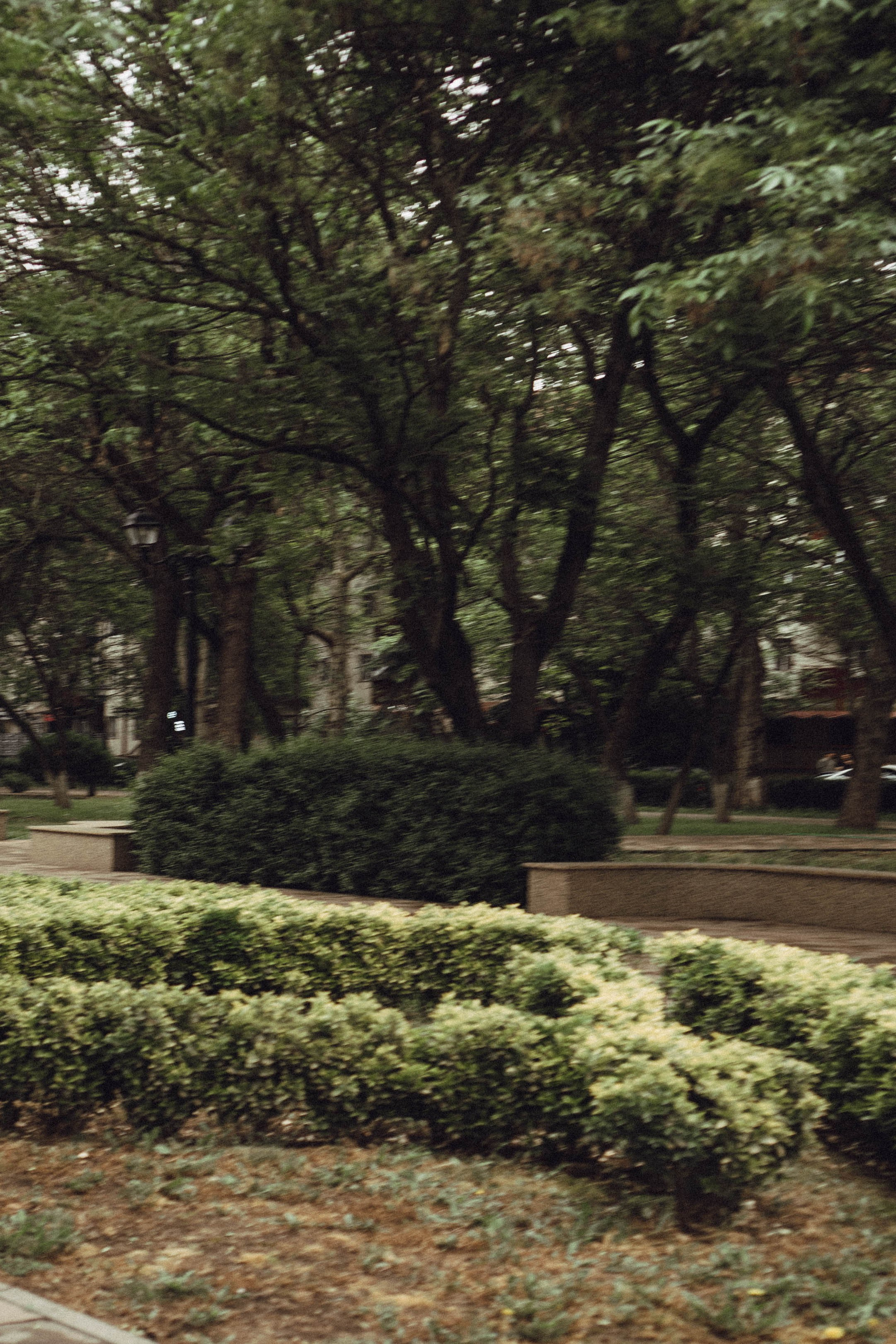 Кавказ. Профессиональный фотограф, Санкт-Петербург — Виктория Богомолова