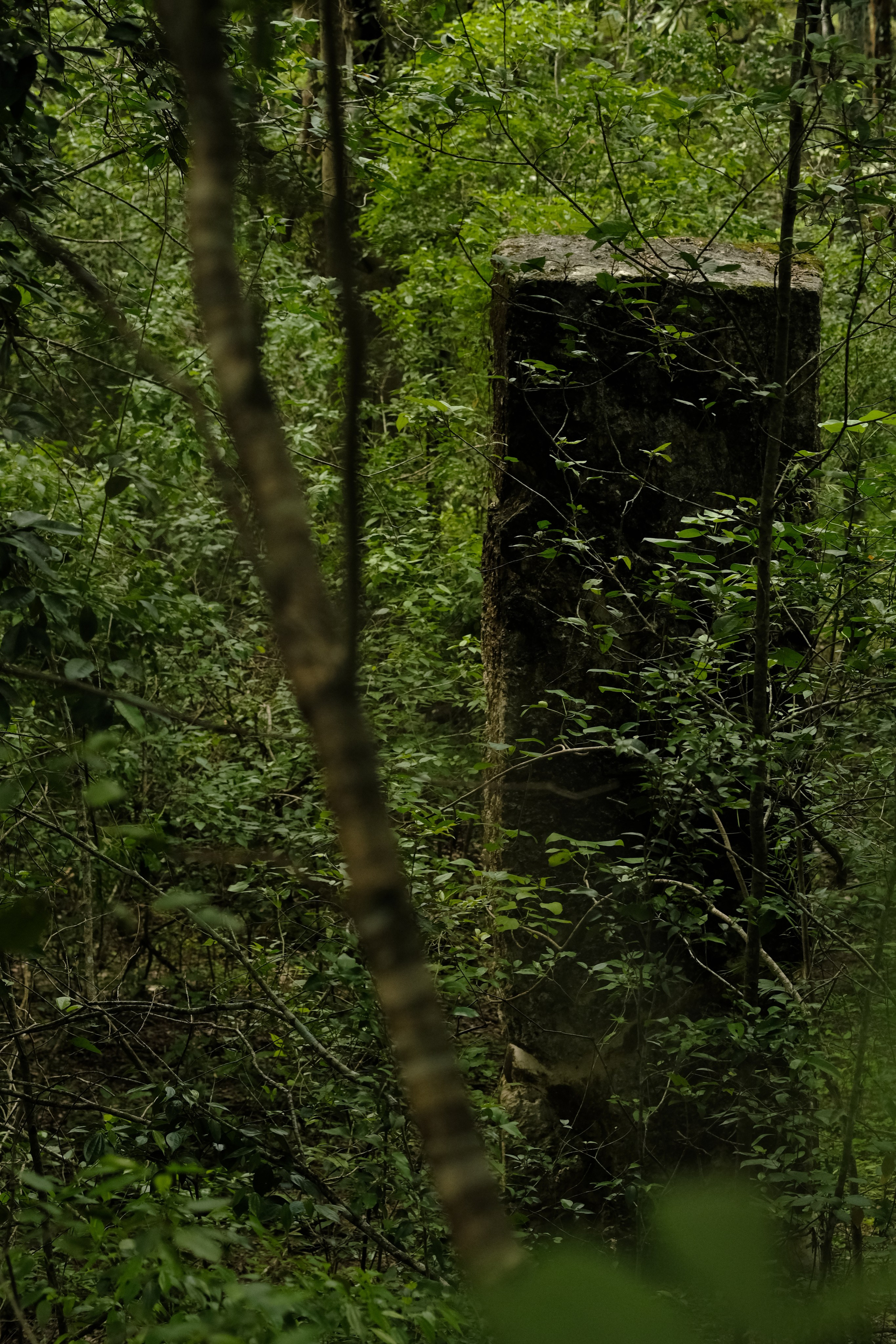 Documentary. Margarita Rodionova — a contemporary lens-based artist currently working in Cancun, Mexico