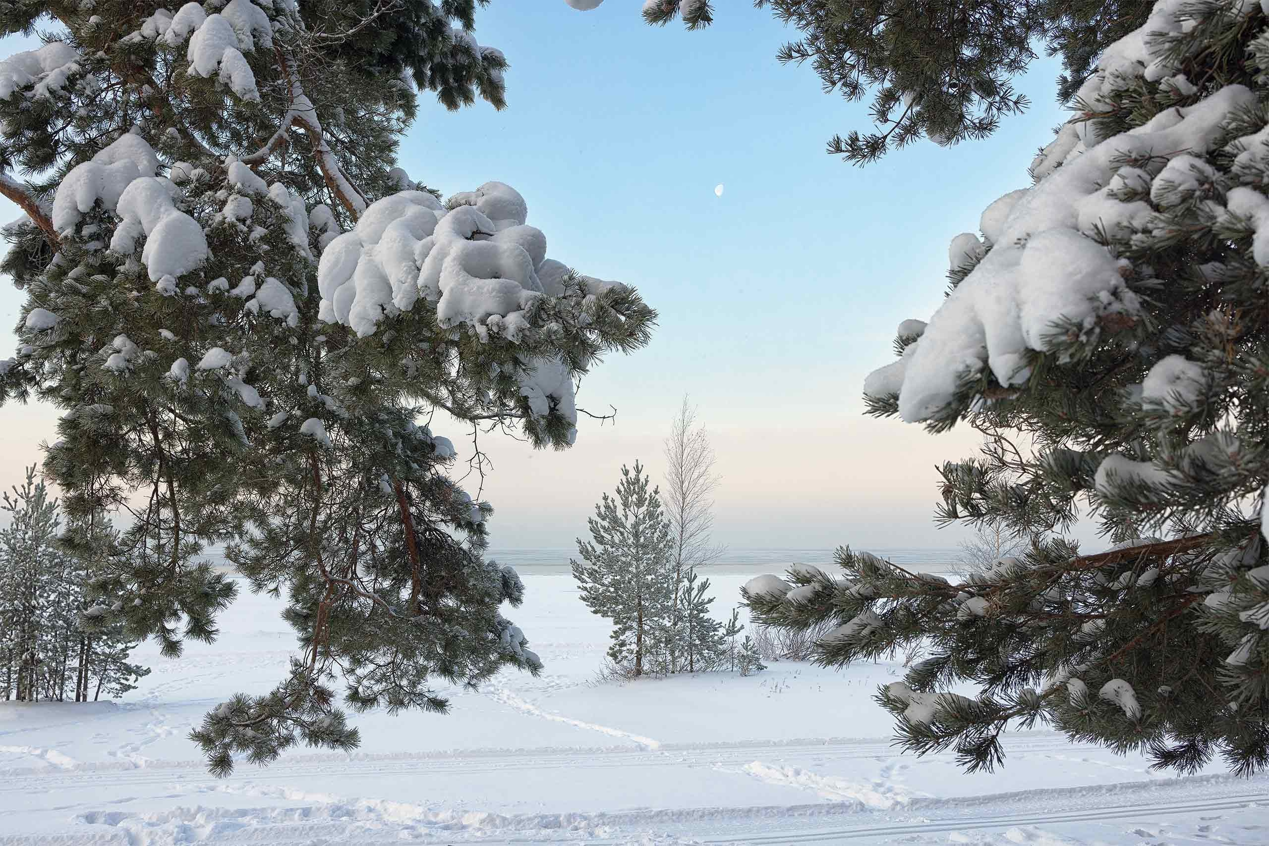 Фотограф в Сестрорецке
