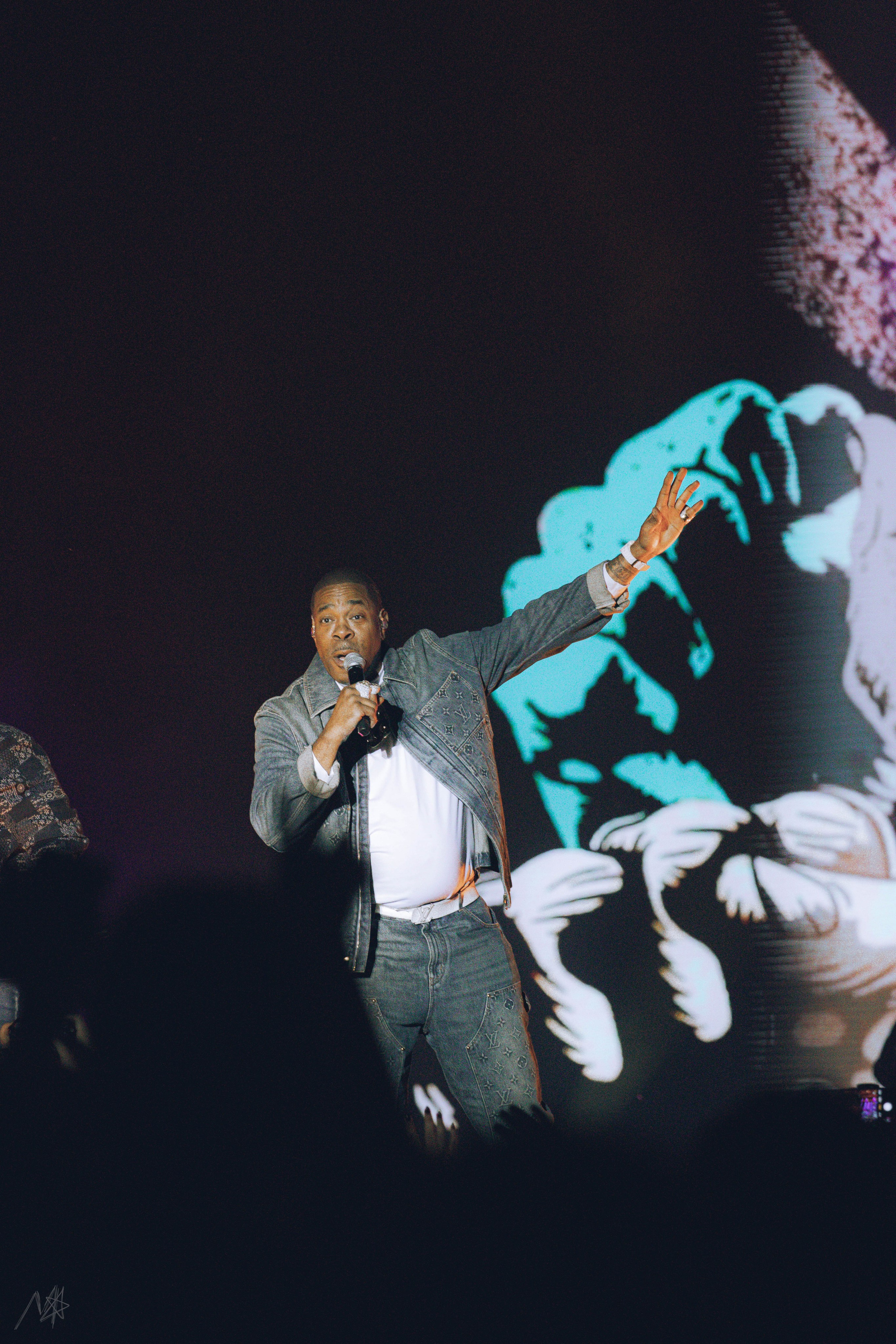 Busta Rhymes. Концертный фотограф