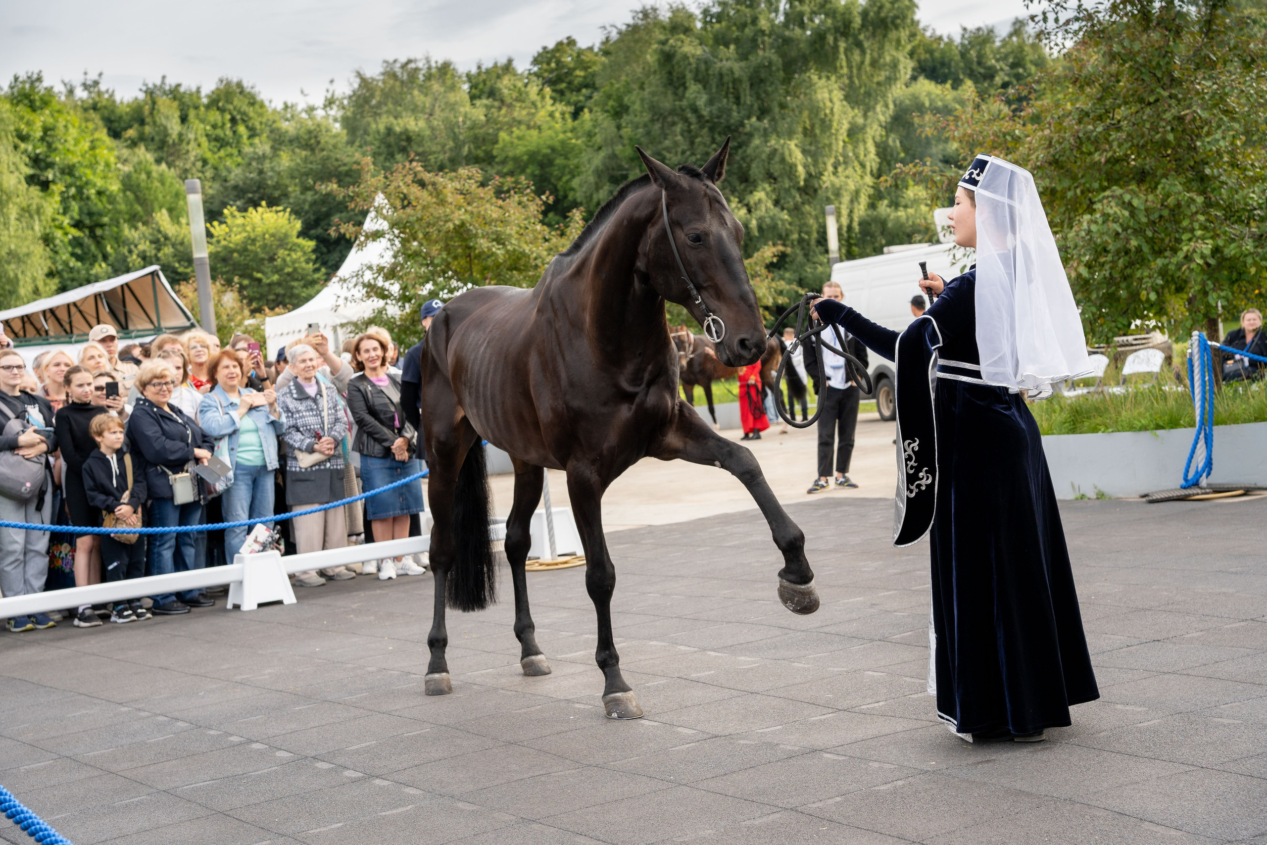 Животные. Фото, видео, монтаж