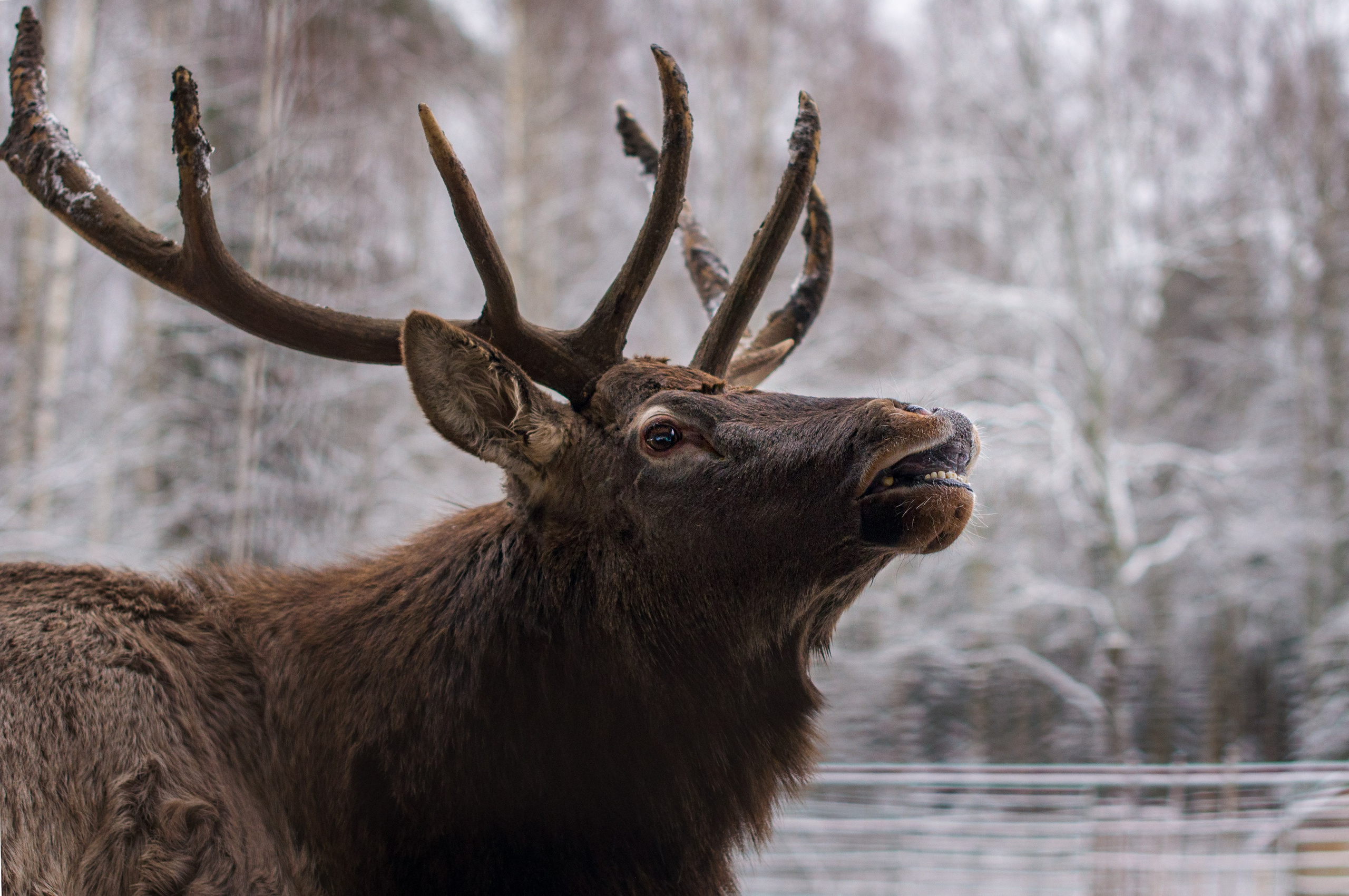 Фотограф в Королеве Людмила Потапова