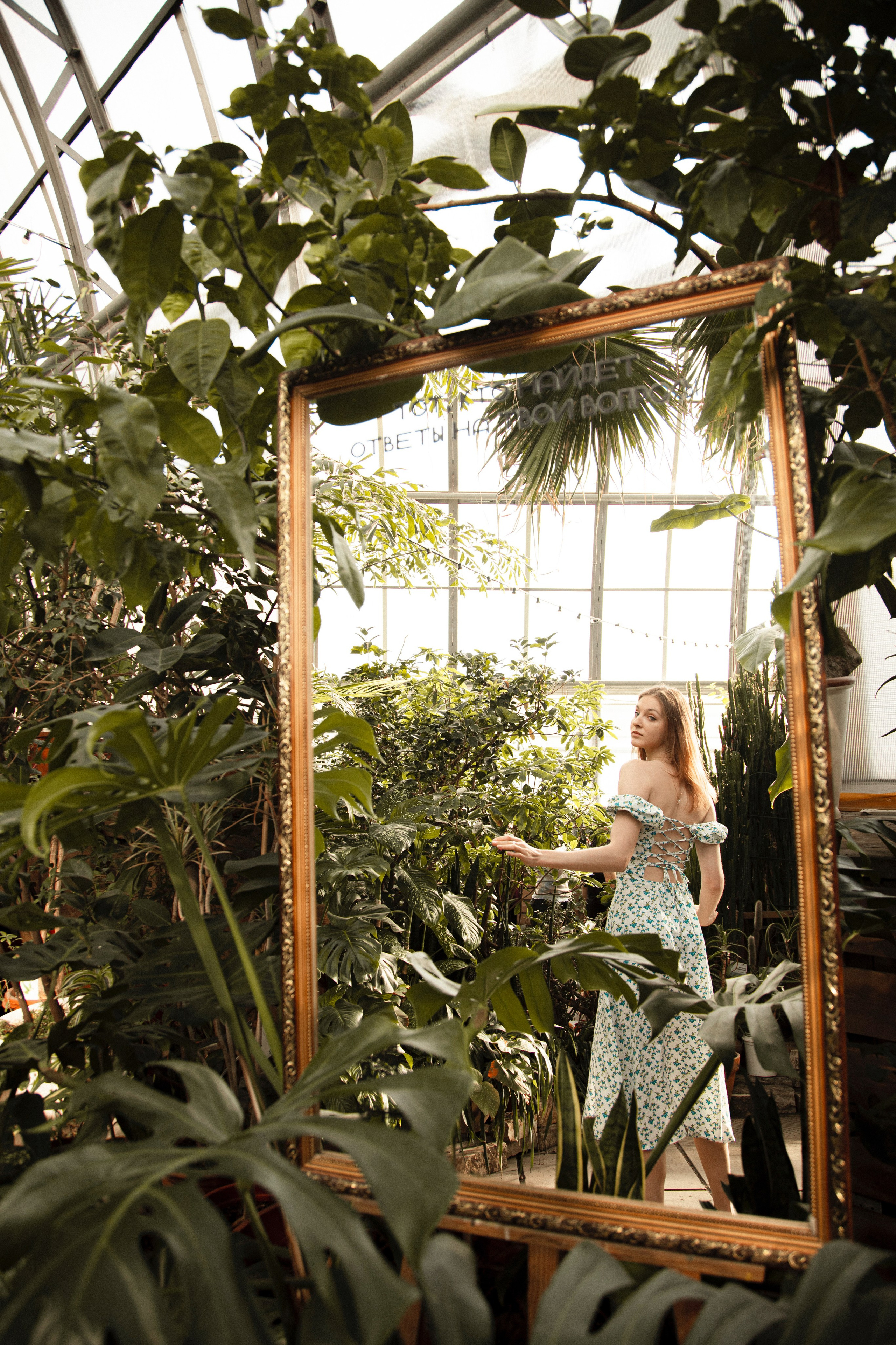 Оранжерея Таврического сада