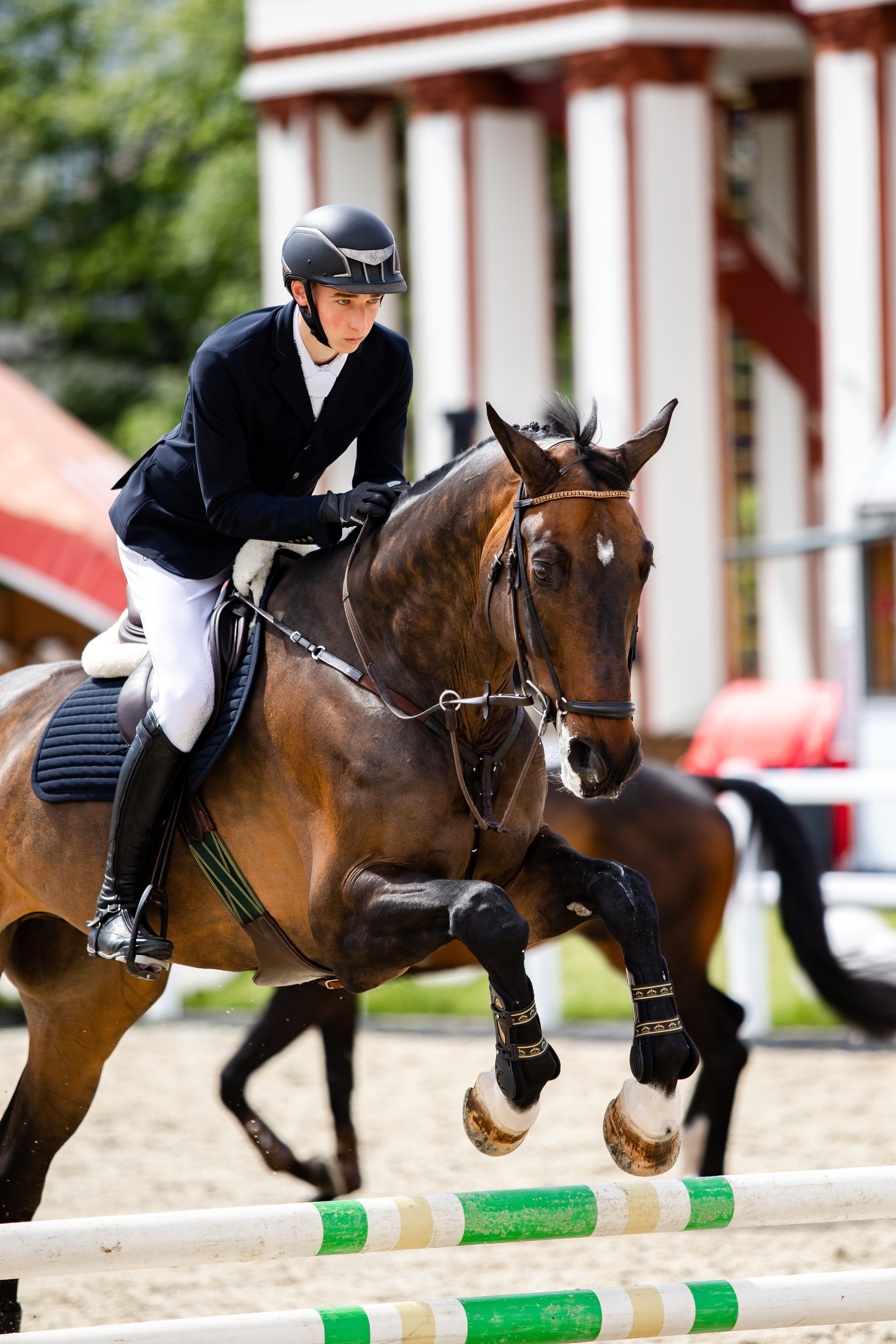 Турниры. Veronika Makeeva horse photo