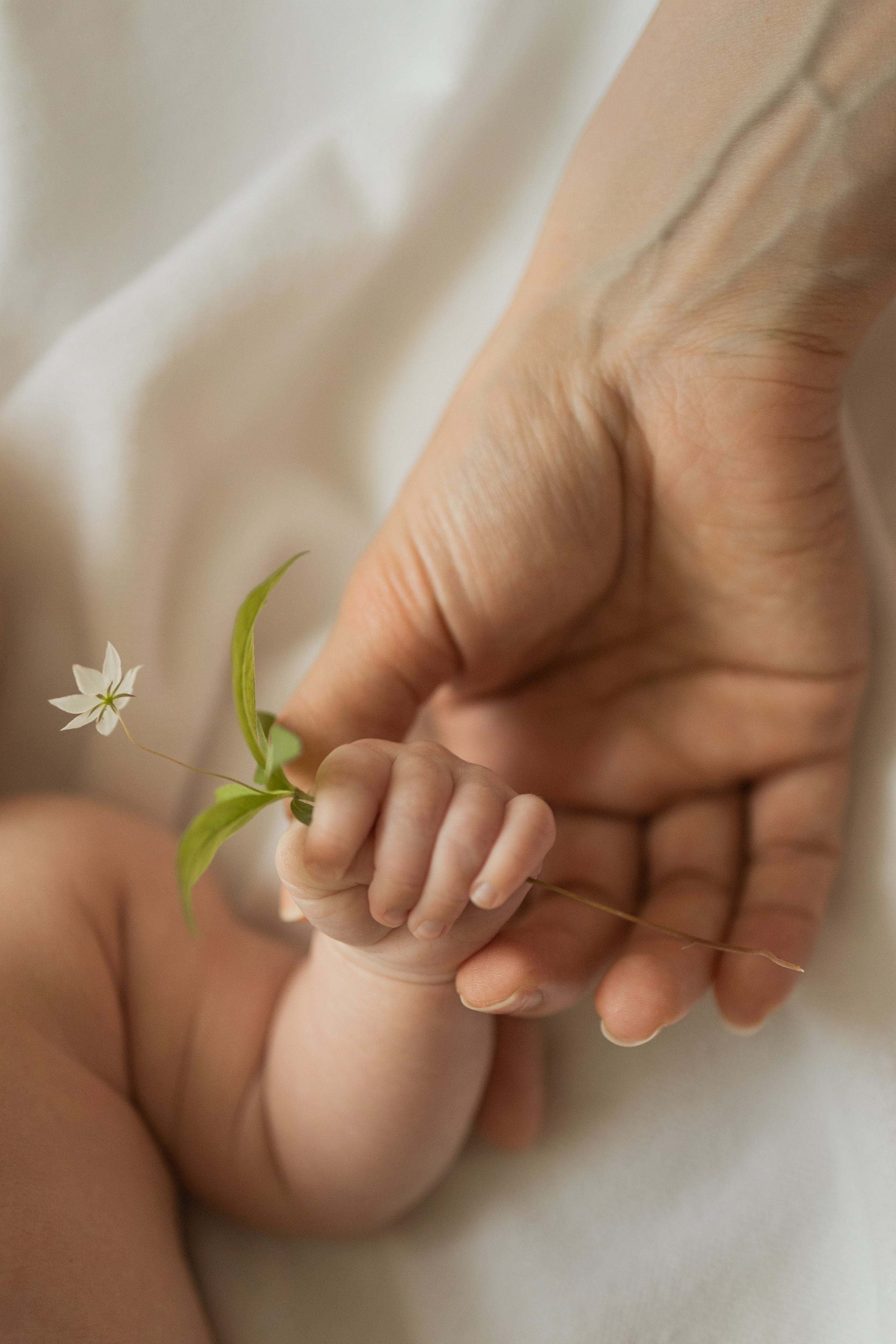 Л ю б о в ь между Вами и посреди Вас. Виноградова Маргарита. Фотограф P r o Явления