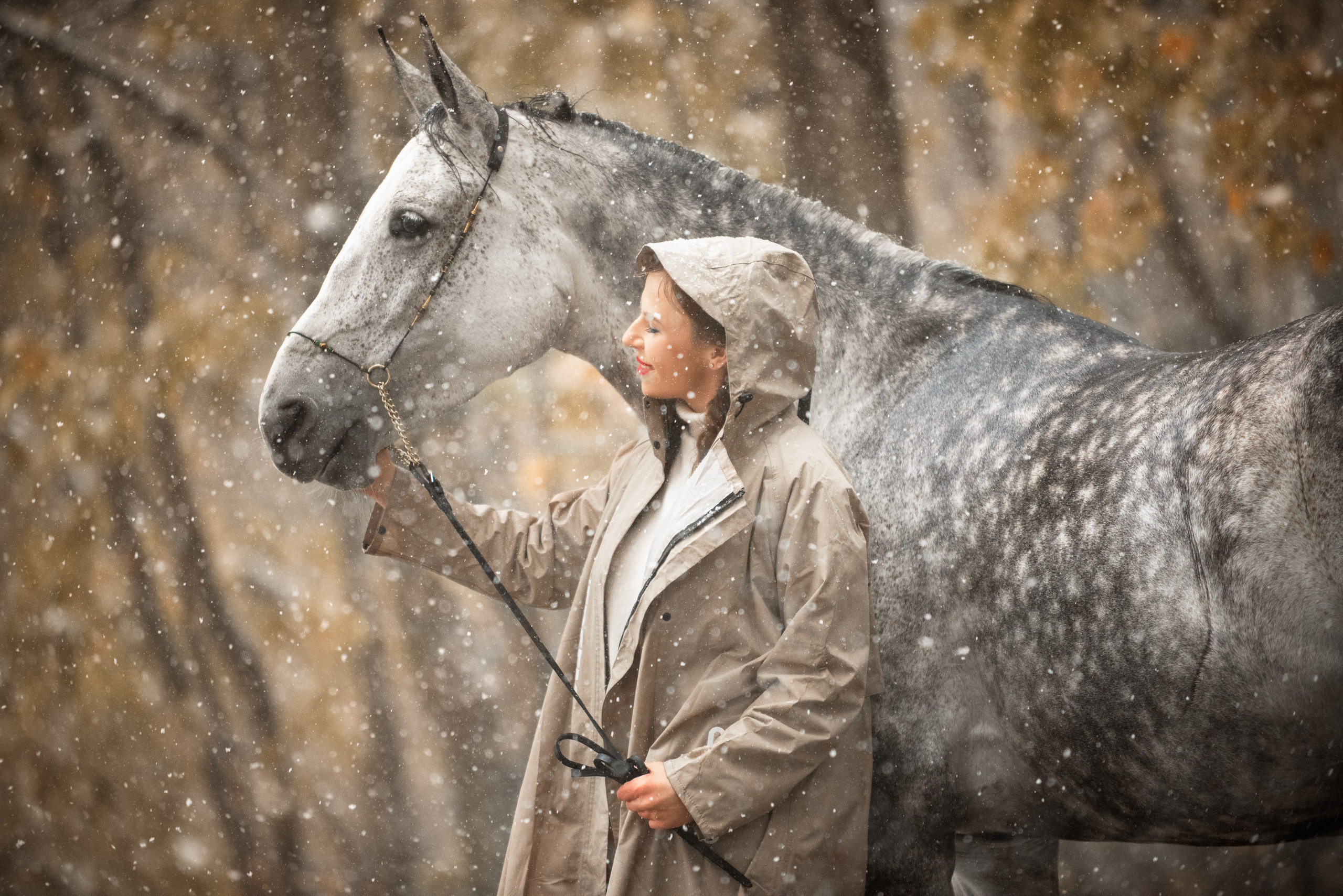 ЮНА «Осень». Куракина Дарья • Конный фотограф