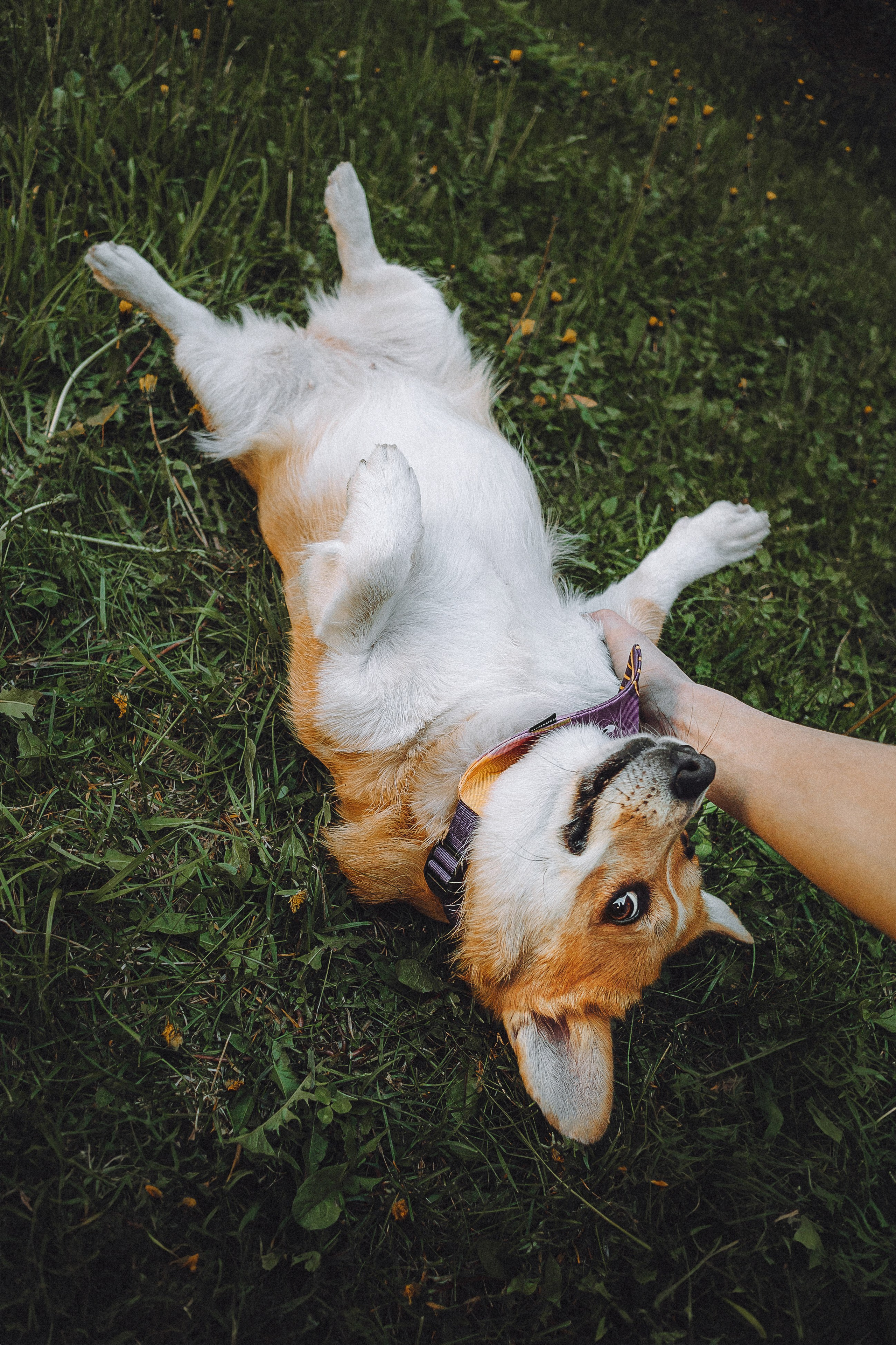 Вика и Мейзи