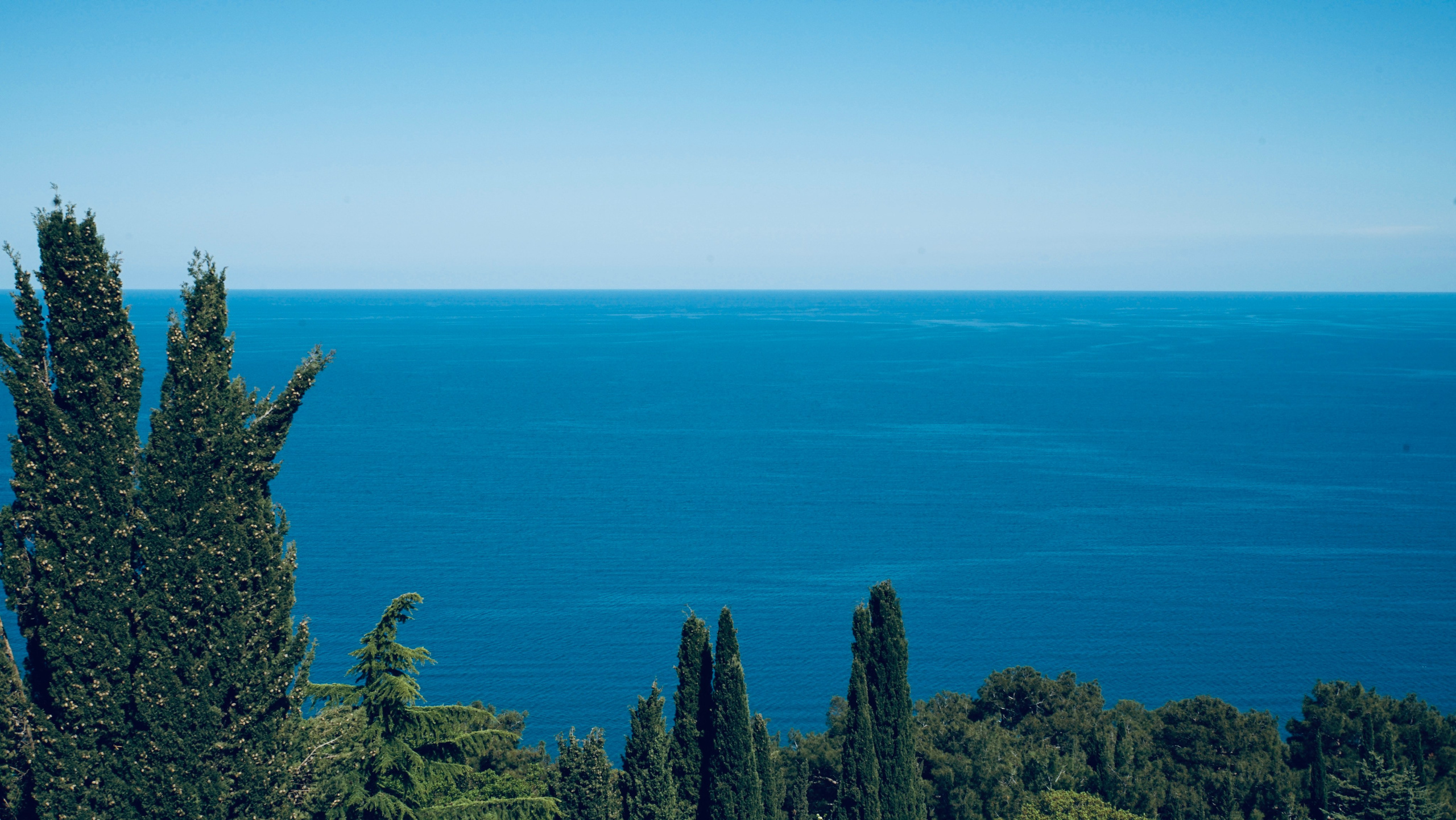 ЗАКАЗАТЬ СЪЕМКУ. Репортажный и портретный фотограф из Москвы и Подольска Власова Анжелика