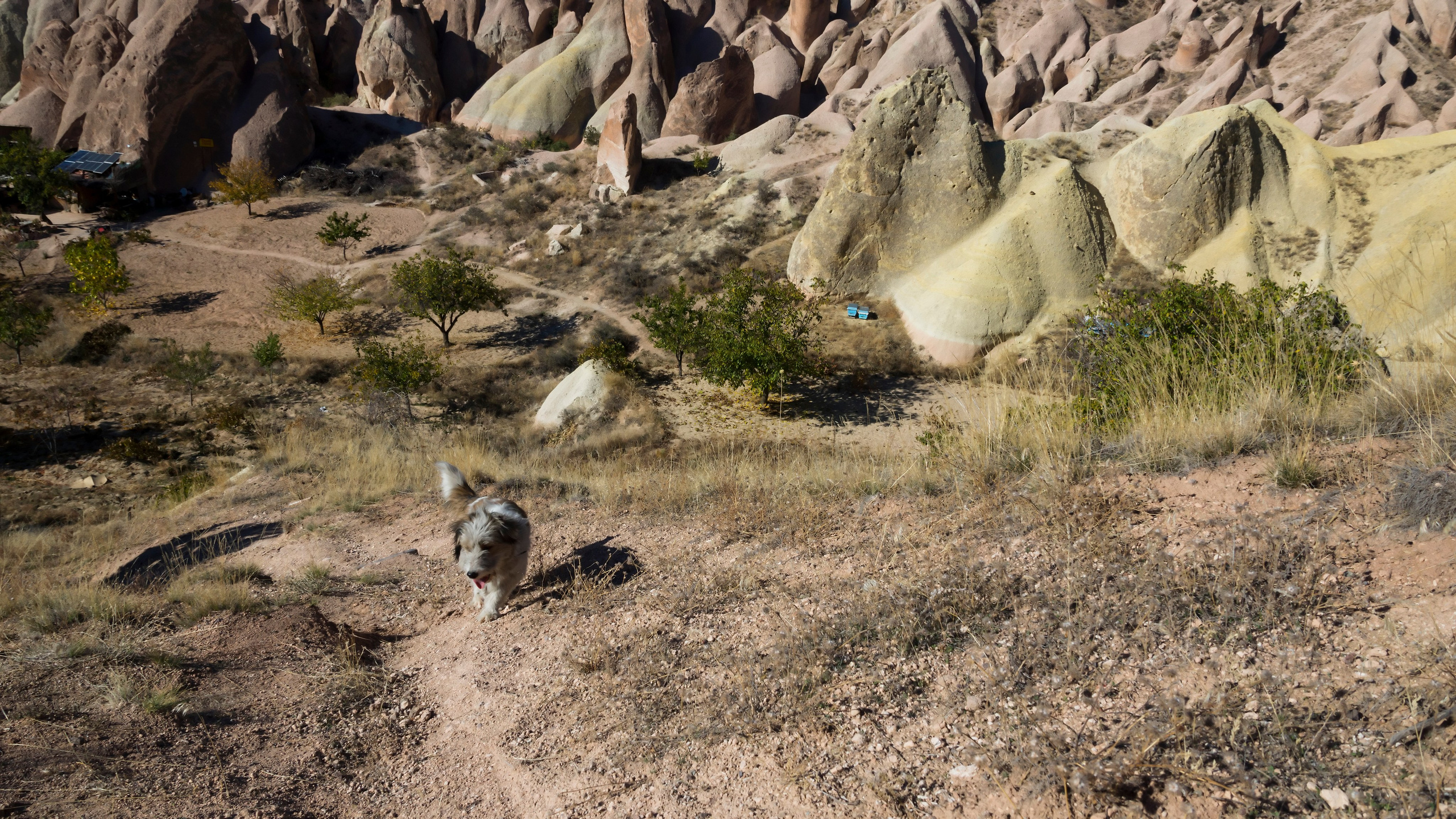 Каппадокия. Фотограф-путешественник Самойлов Максим «Sly Fox»
