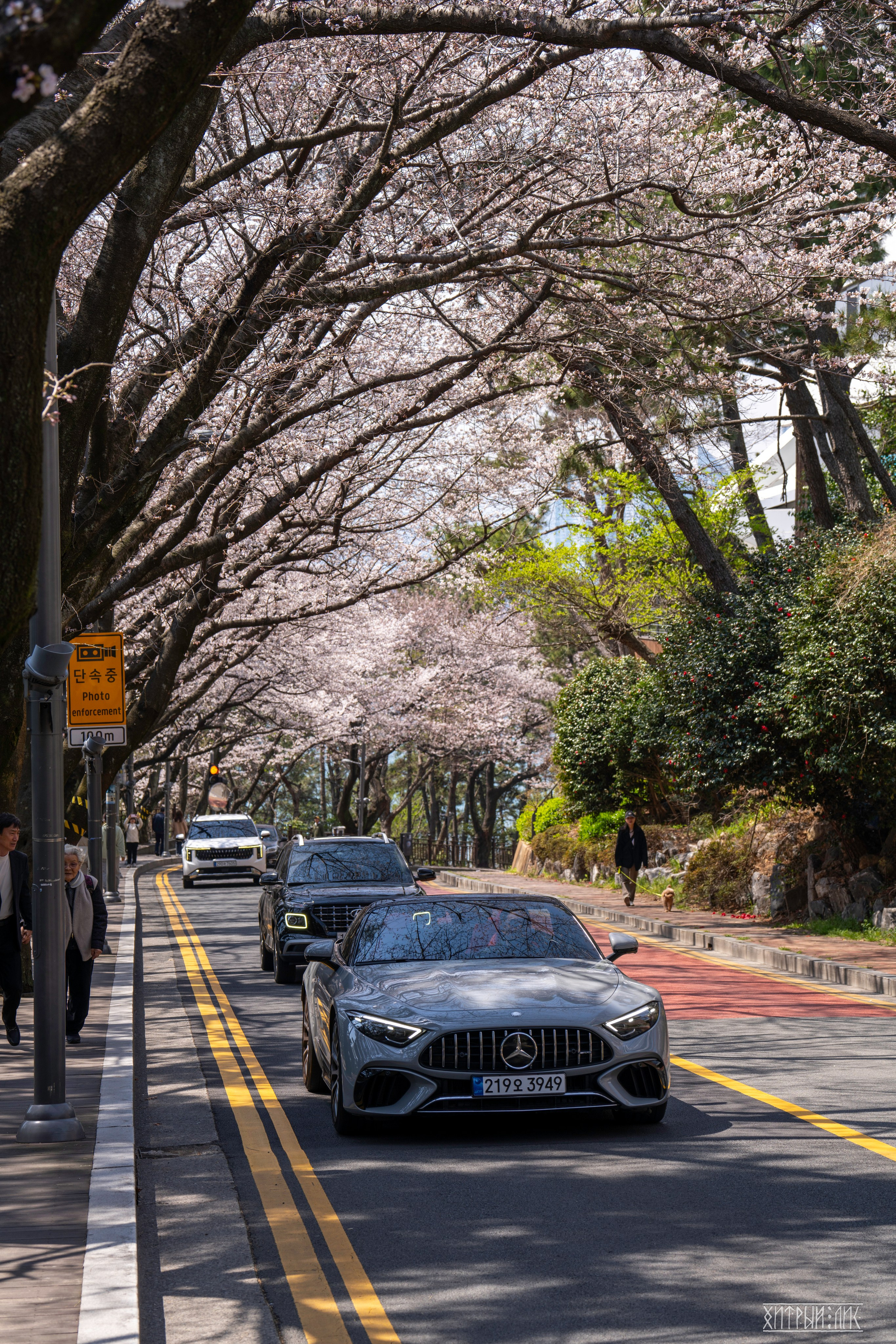 Южная Корея. Фотограф-путешественник Самойлов Максим «Sly Fox»