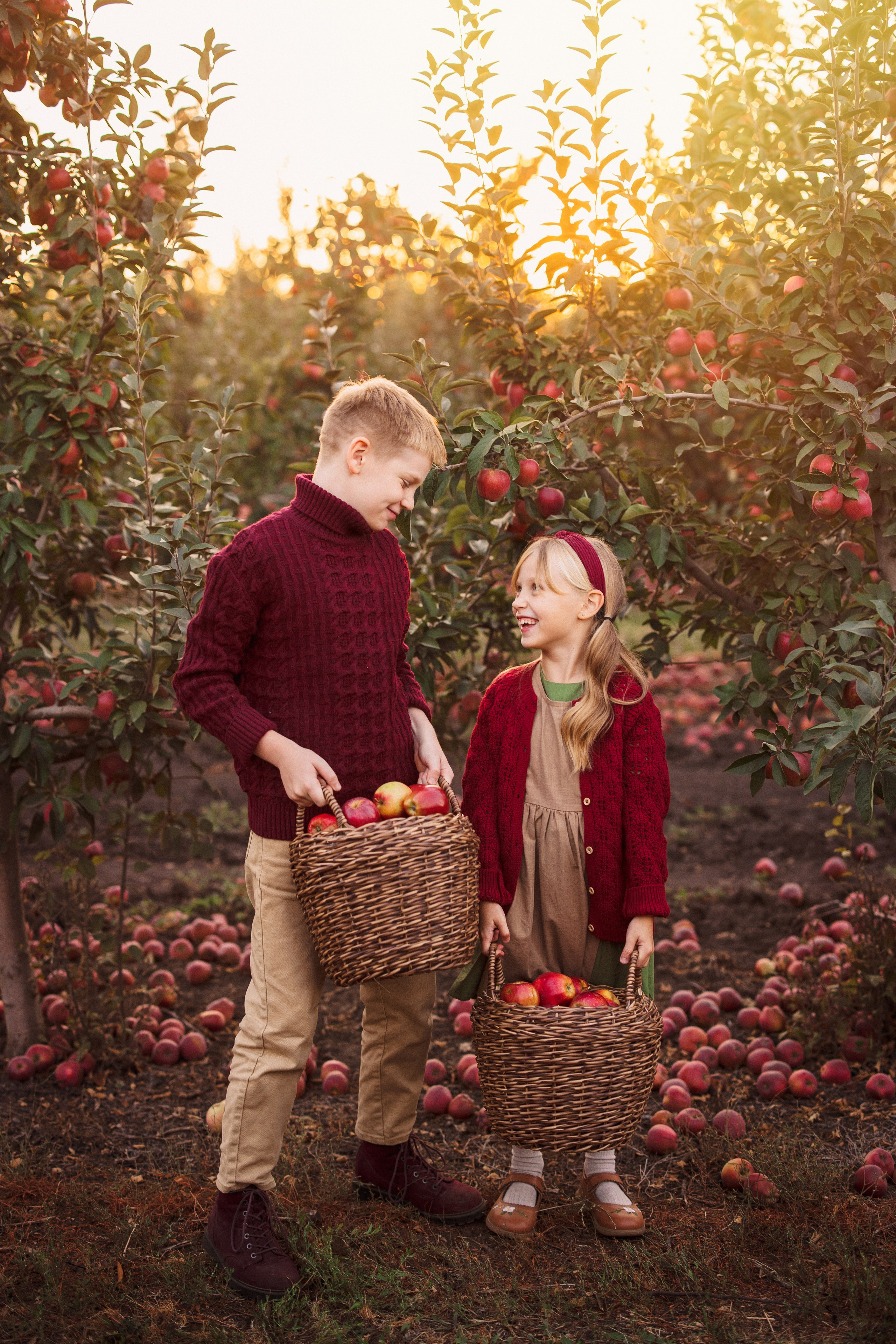 Сбор урожая Яблок. Семейный и детский фотограф в Краснодаре Анна Трашкова