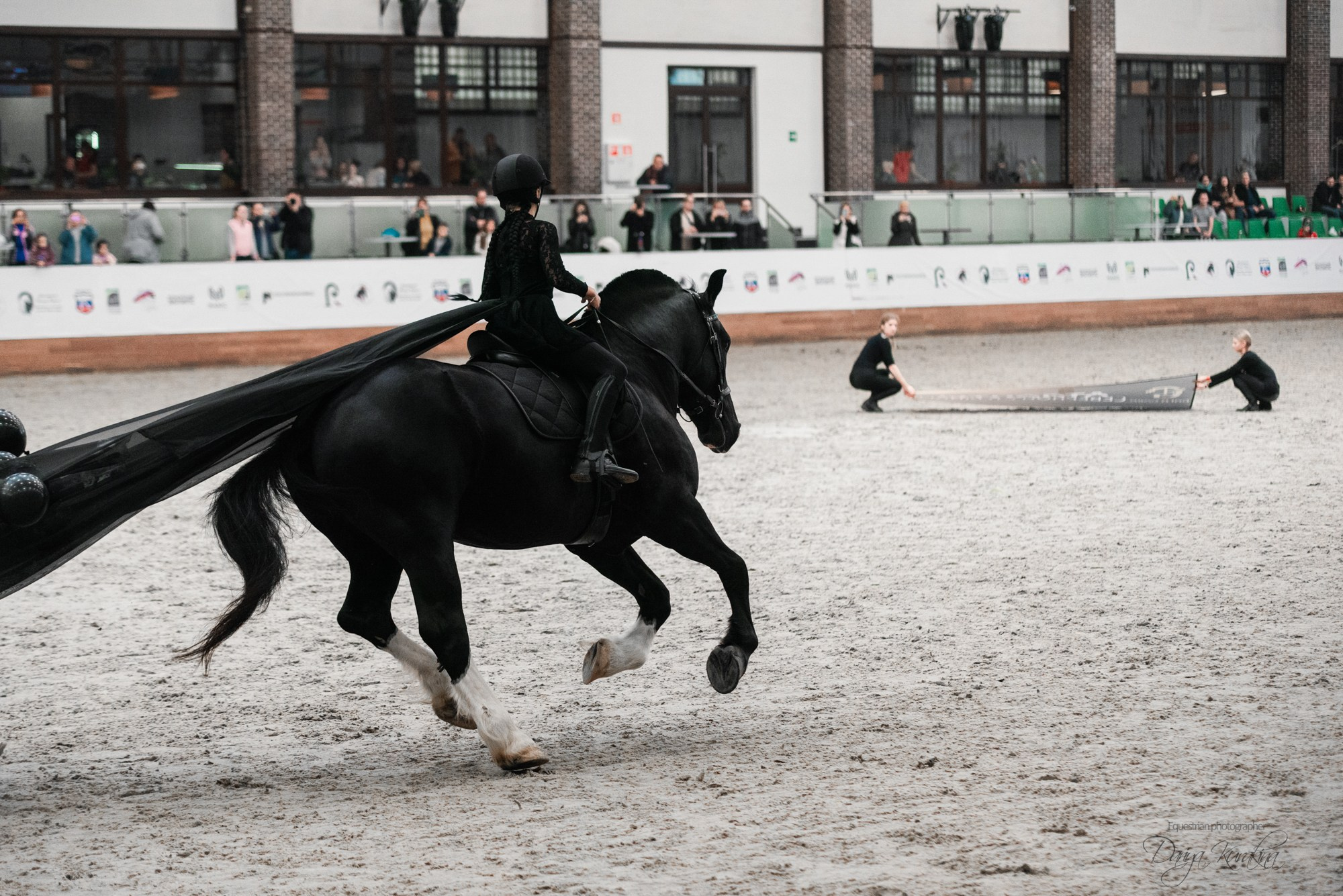 8-я международная выставка Конная Россия. Конный фотограф Куракина Дарья • Фотосессии с лошадьми