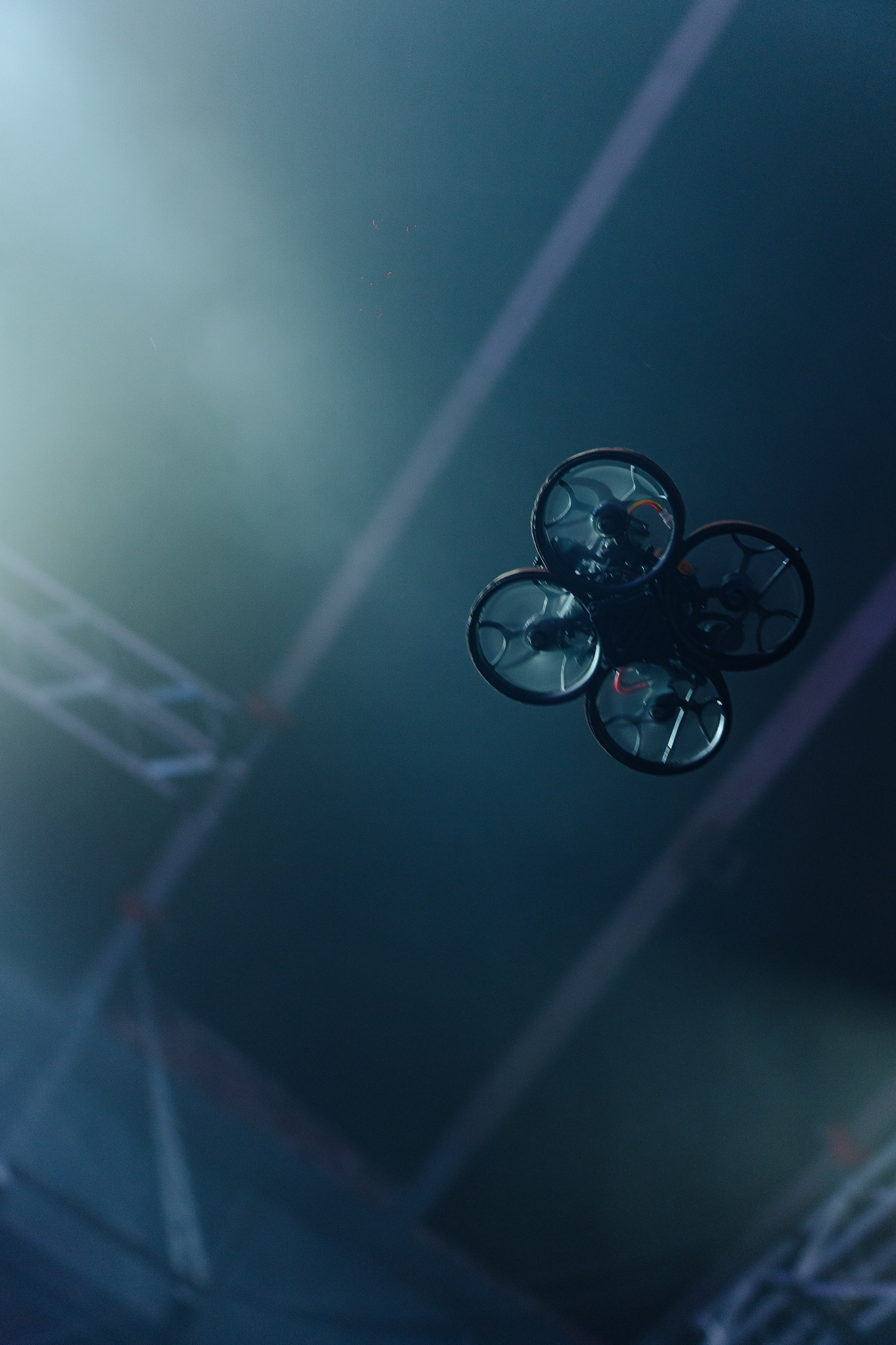 Molly Fest. Рассвет. 21.09.2025. Главная