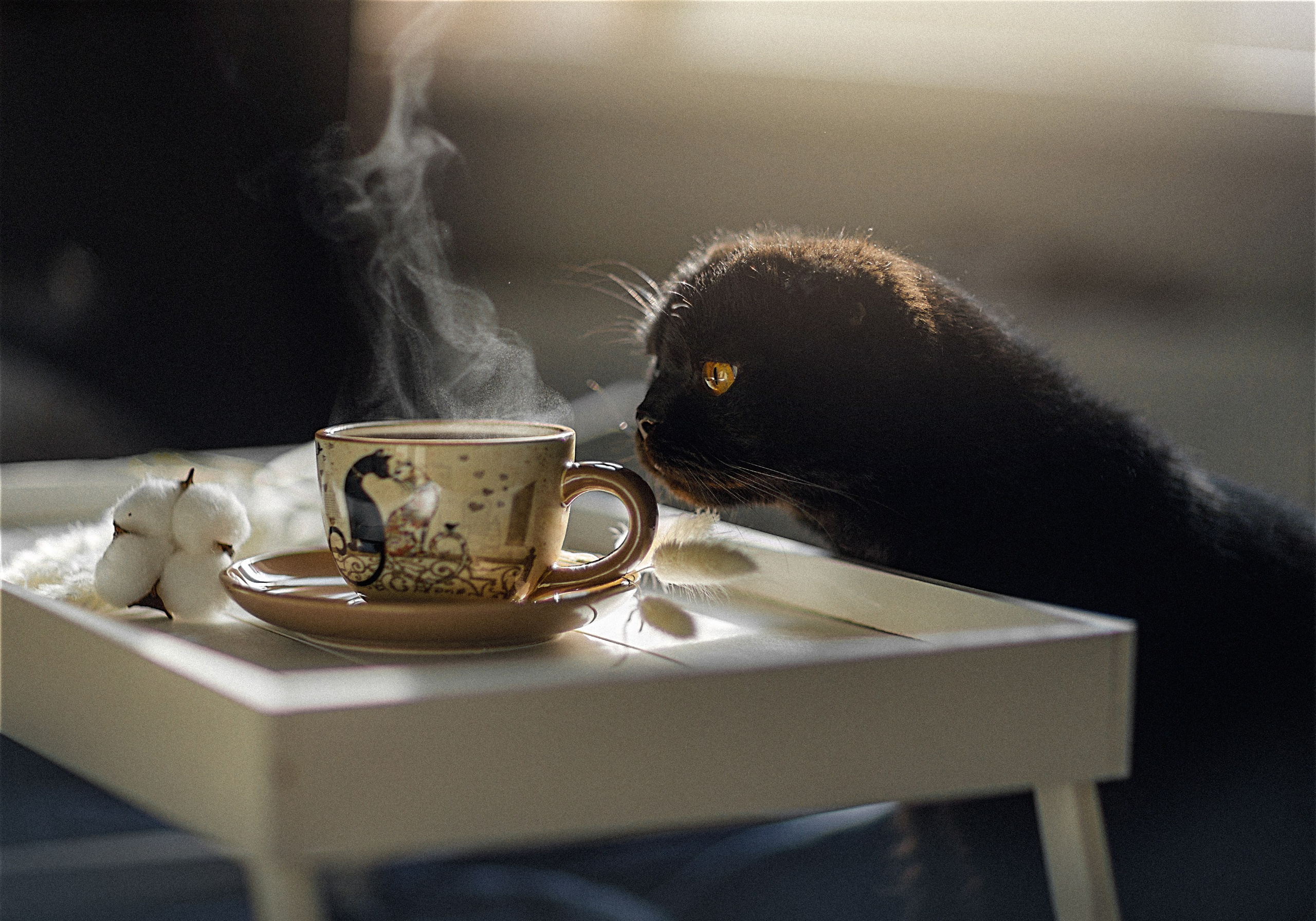 Проект «366»|2024|Фото каждый день. LENA GRACE photographer ||ЛЕНА ГРЭЙС фотограф