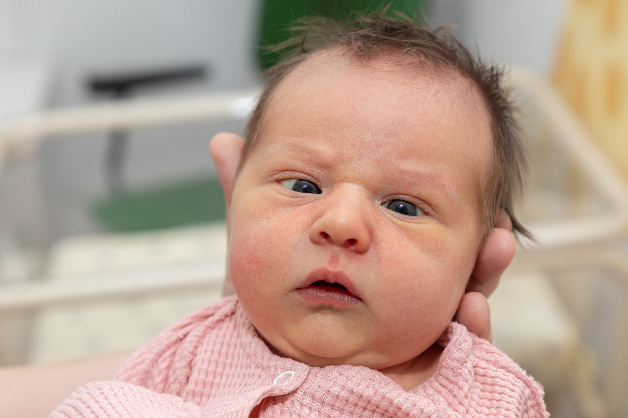 Выписка из роддома. Свадебный, семейный, школьный Фотограф и видеограф Худаноговы Александр и Ирина г. Зеленогорск, Красноярск