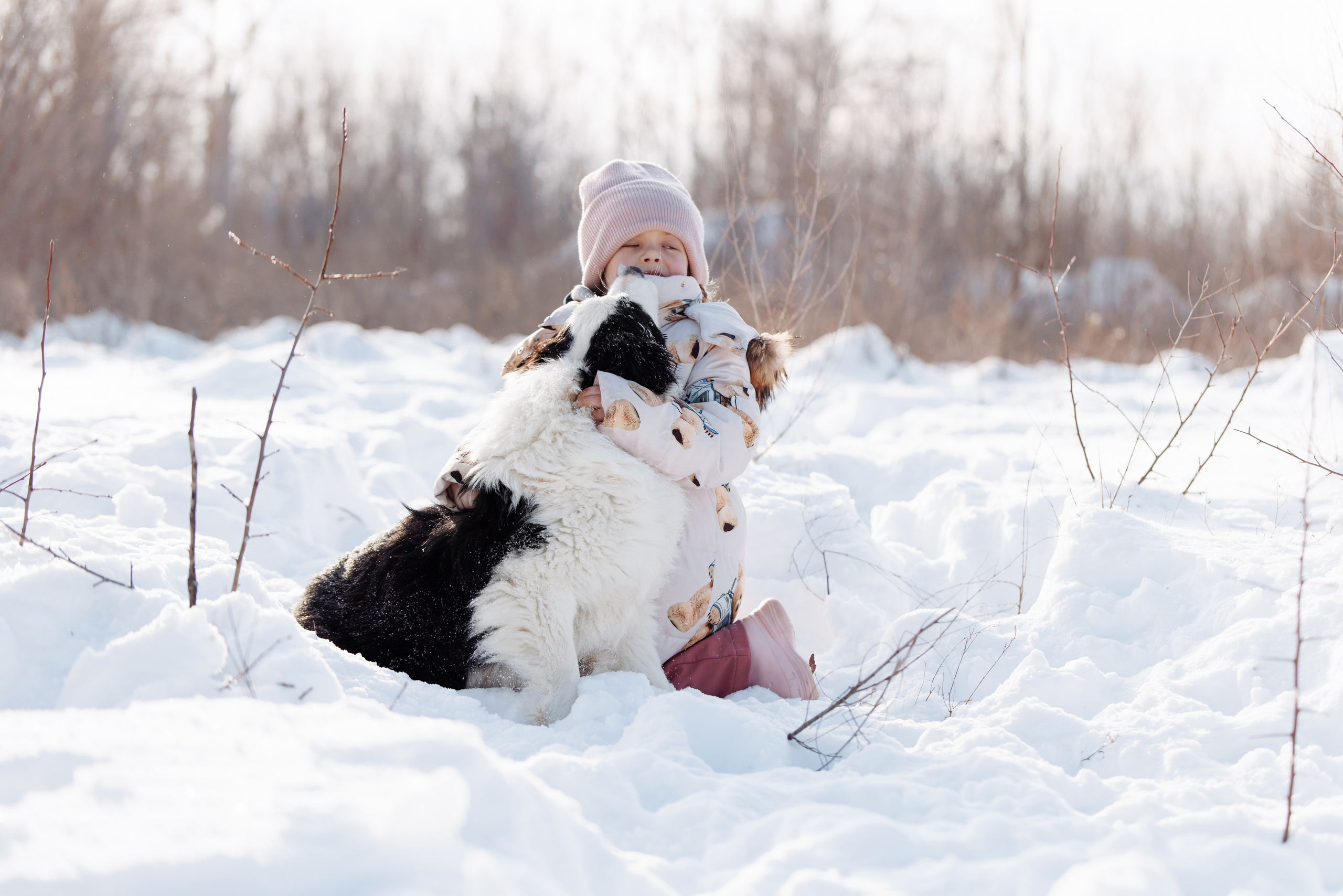 Яркий январь. О нас