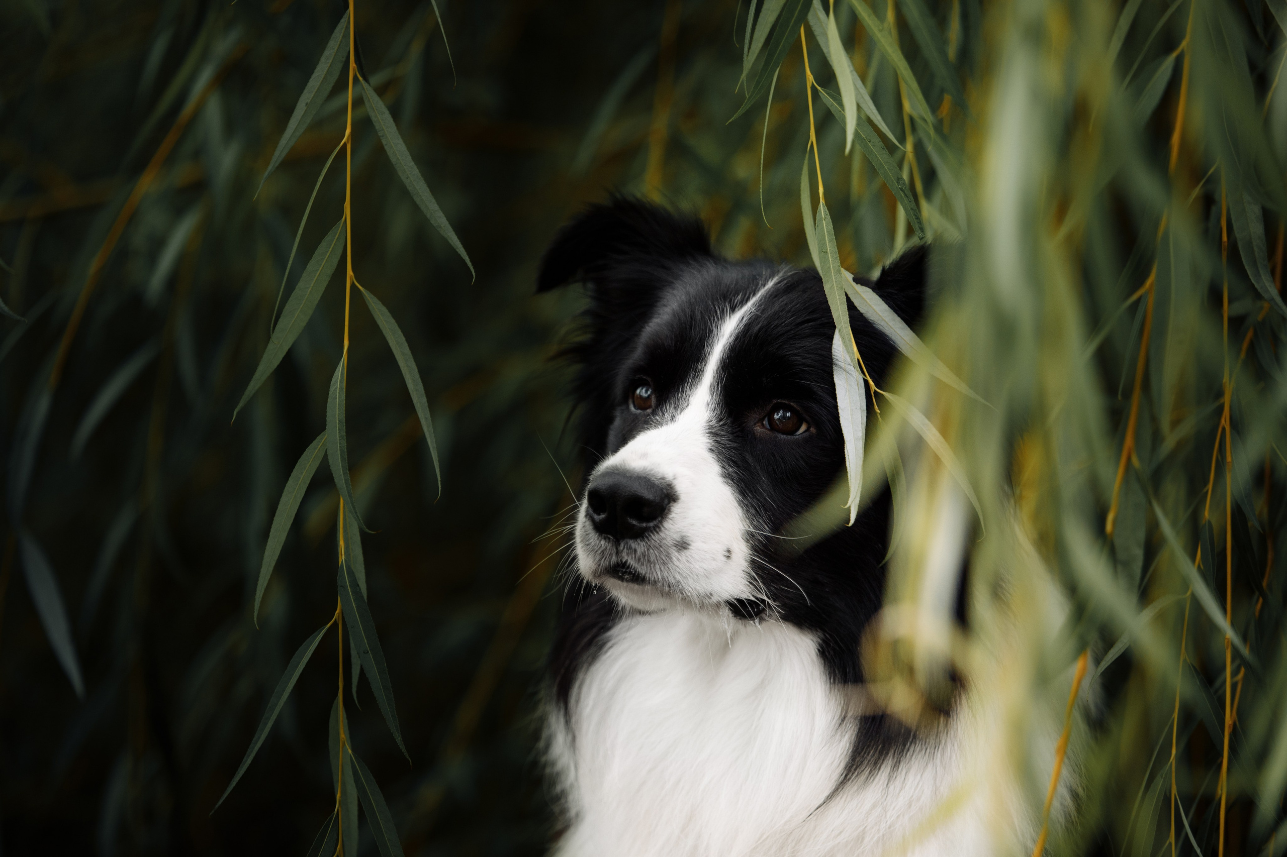 Казань. О нас